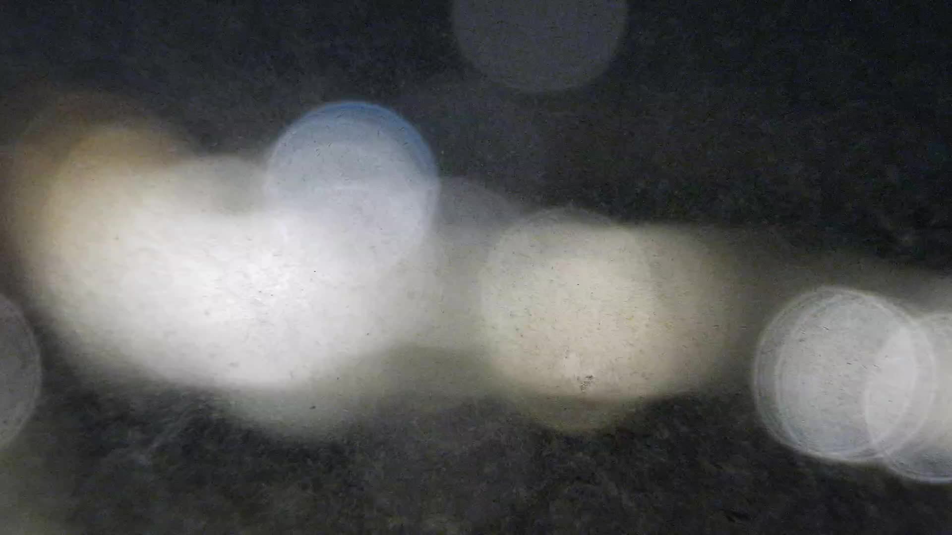 Spiaggia di Žnjan e impianti sportivi – Spalato