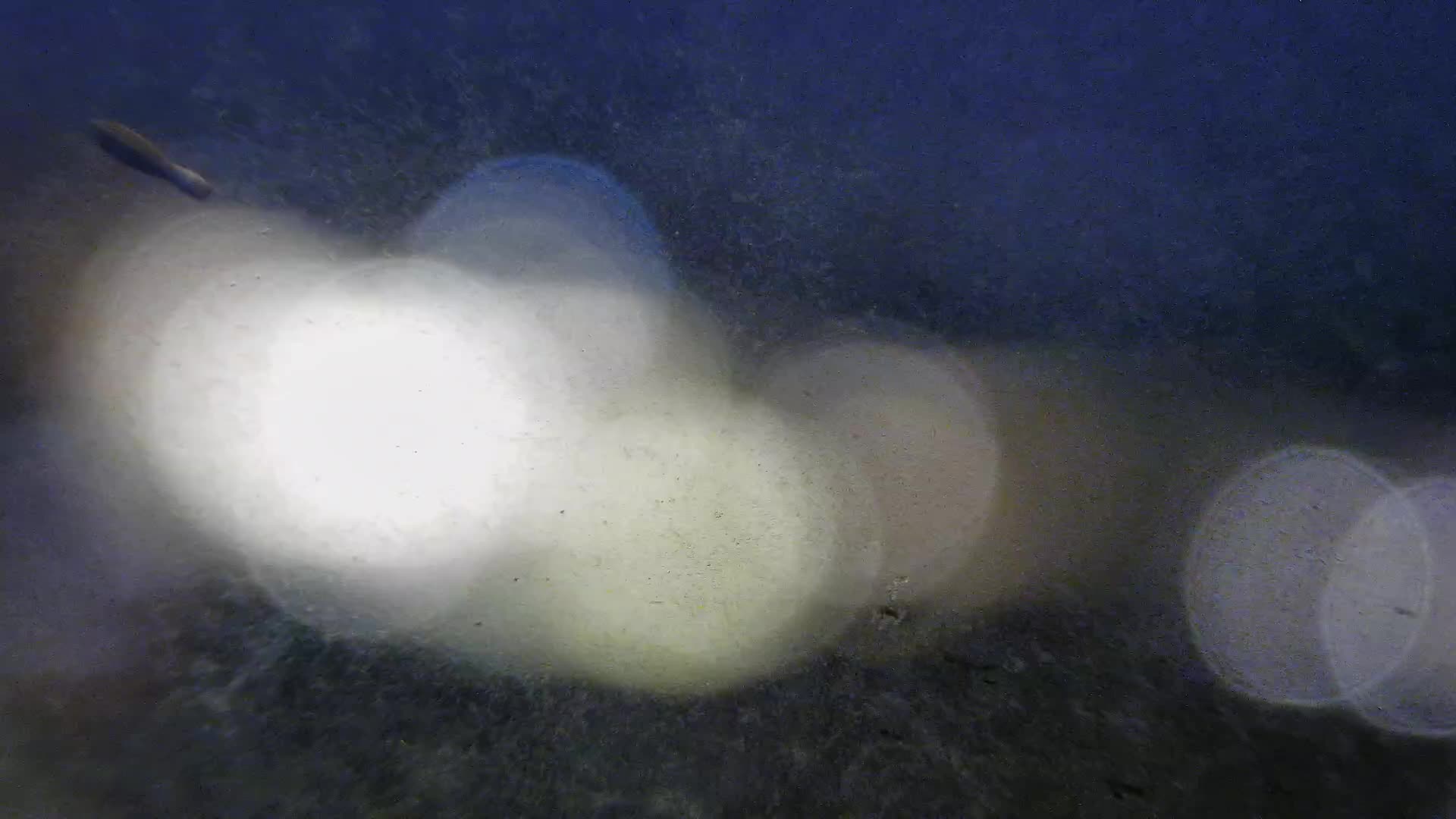 Žnjan beach and sports facilities – Split