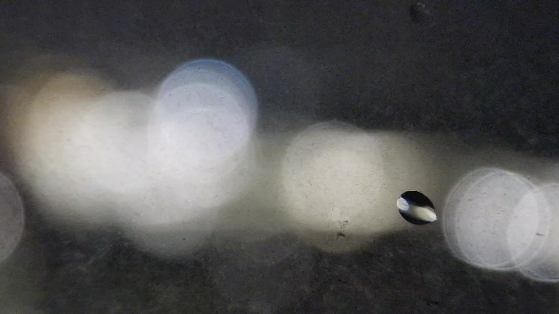 Plaža Žnjan in športni objekti – Split