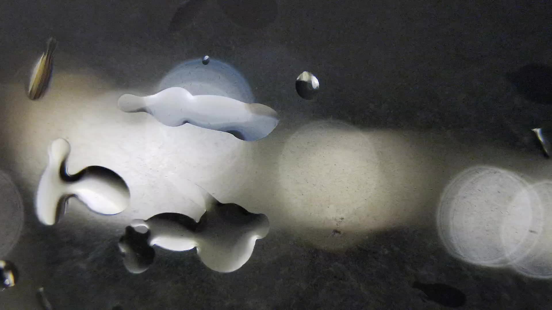 Plage Žnjan et installations sportives – Split