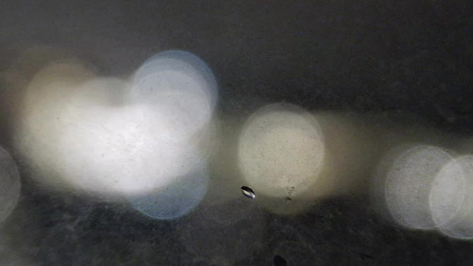 Žnjan beach and sports facilities – Split