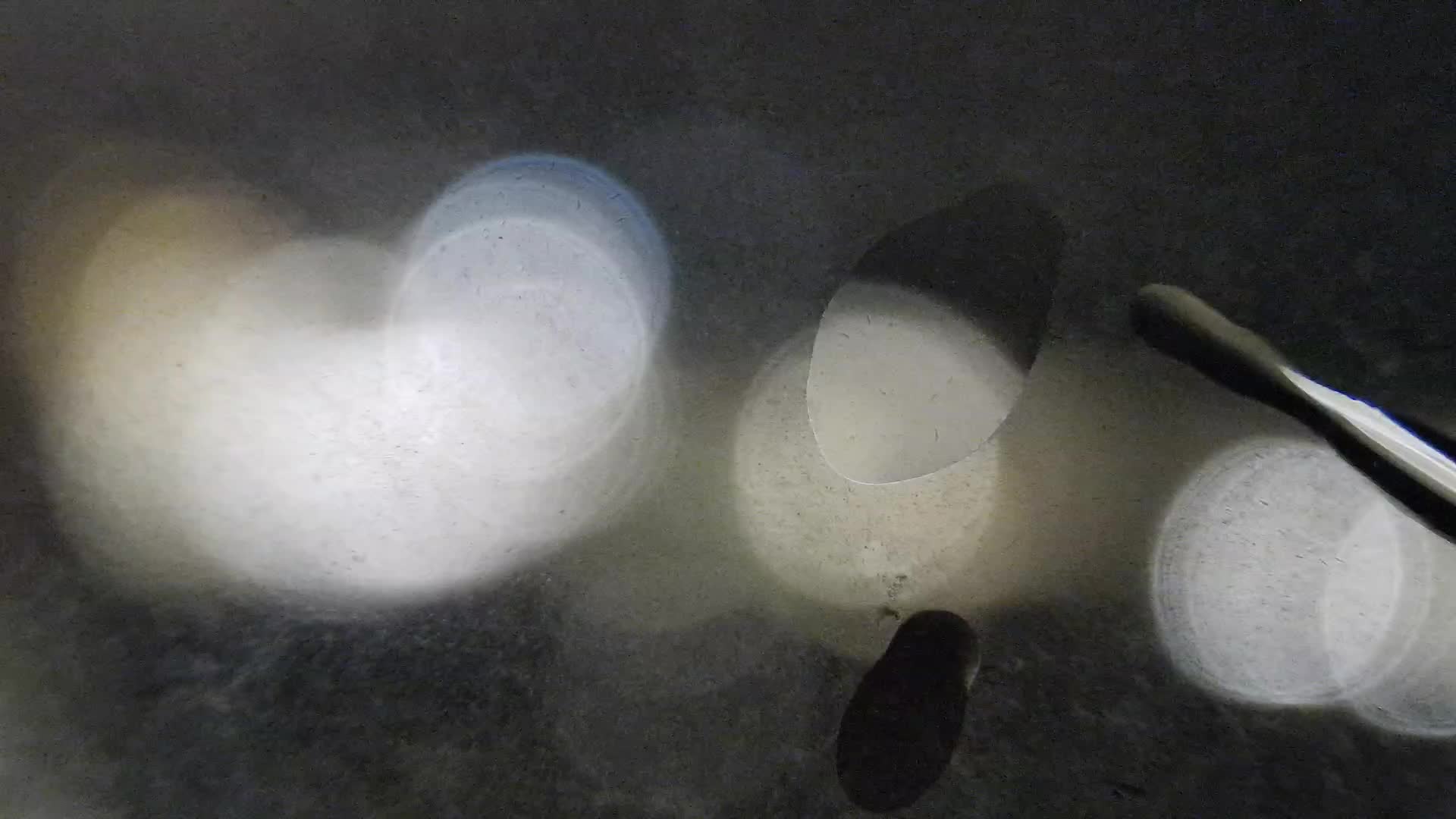 Plaža Žnjan in športni objekti – Split