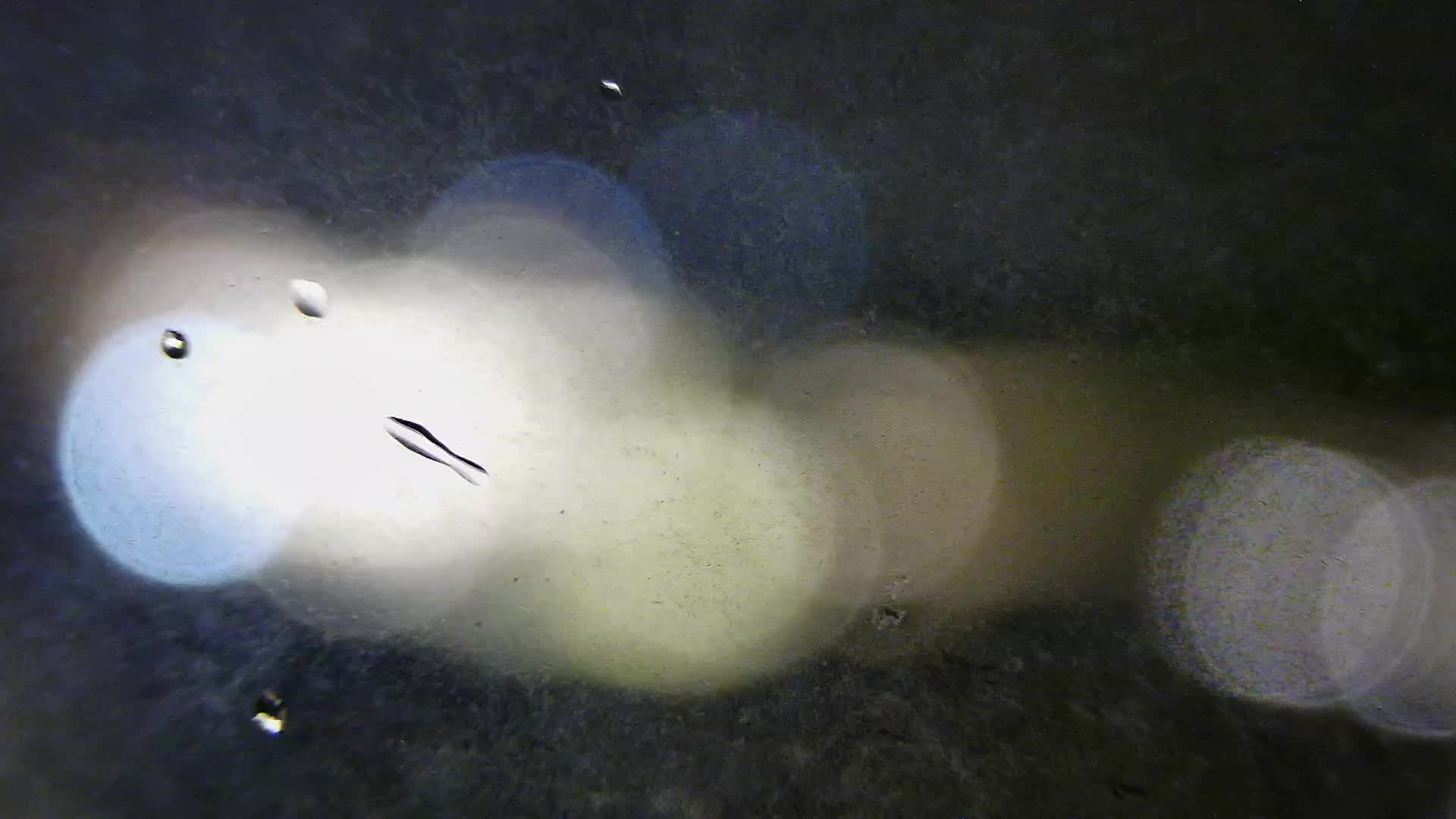 Plage Žnjan et installations sportives – Split