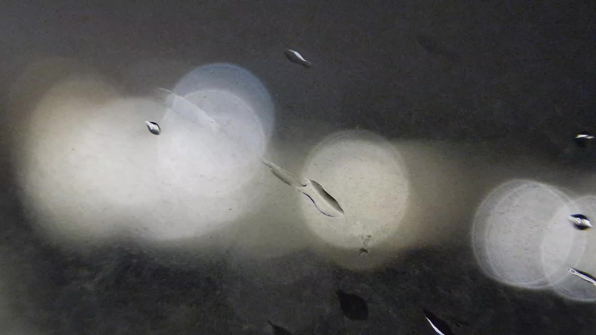 plaza-znjan-i-sportski-sadrzaji-split