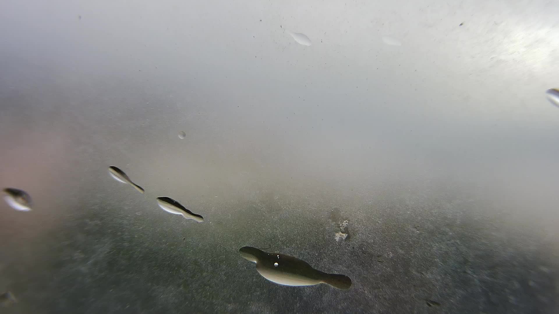 Strand Žnjan und Sportanlagen – Split