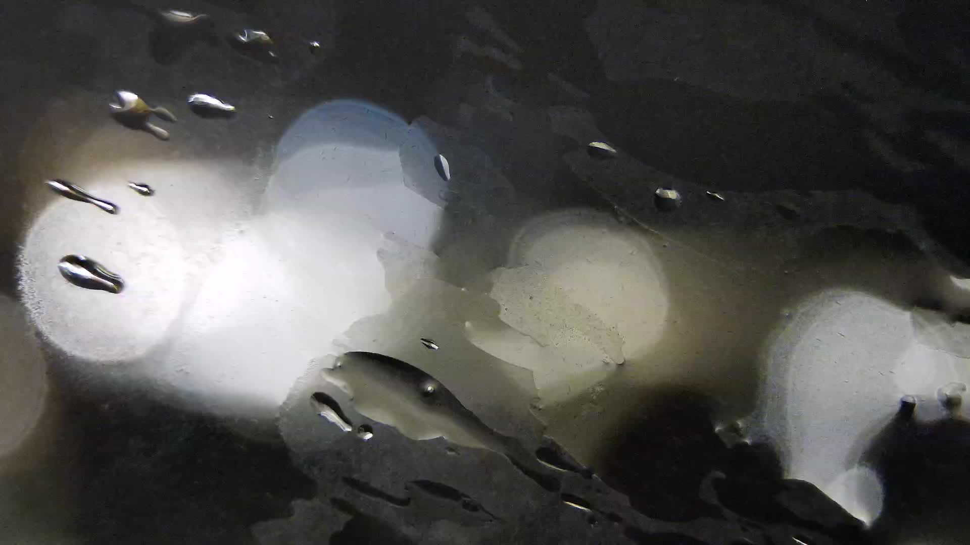 Plage Žnjan et installations sportives – Split