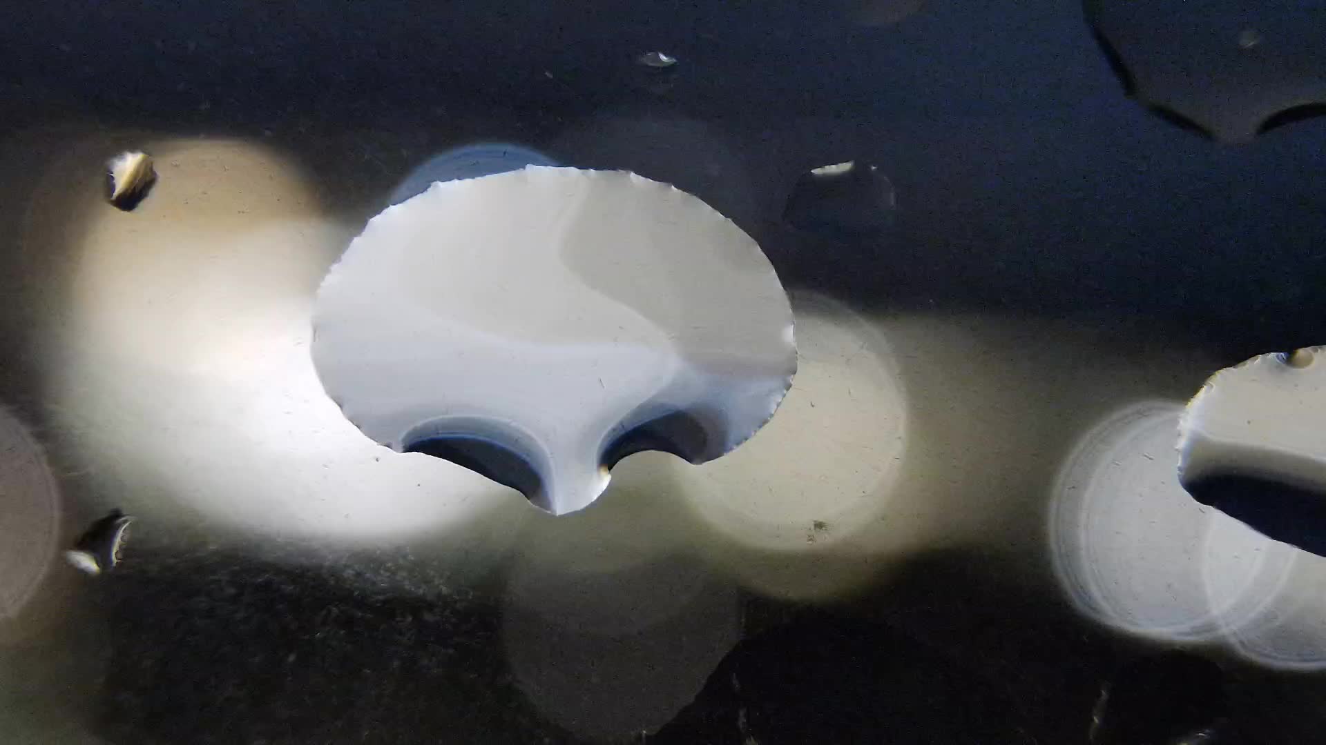 Žnjan beach and sports facilities – Split