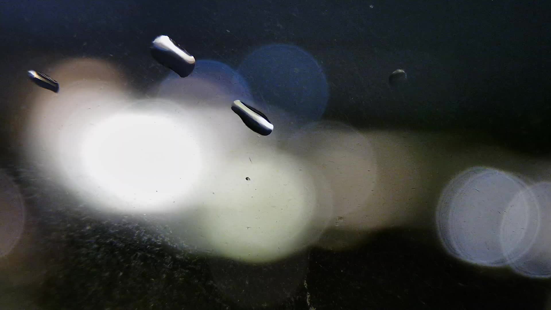 Žnjan beach and sports facilities – Split