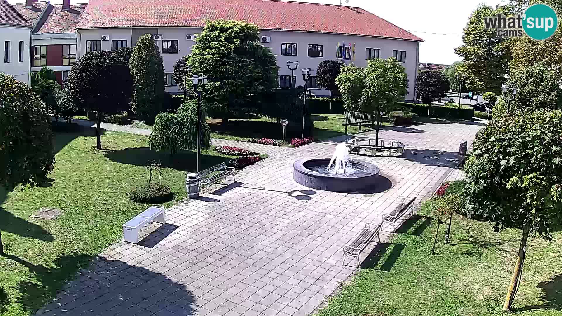 Čazma – Plaza Čazmanskog Kaptola