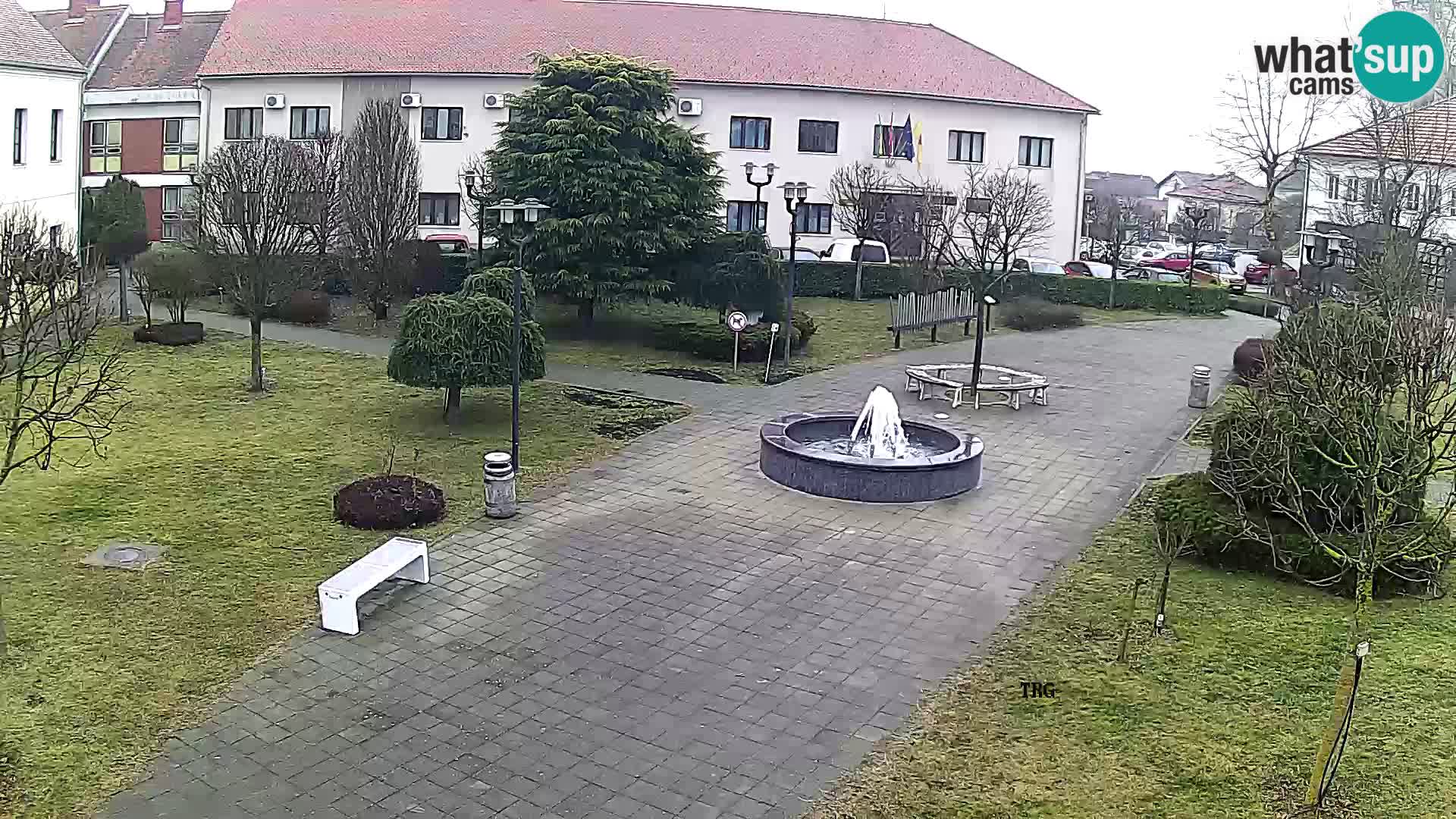 Čazma – Plaza Čazmanskog Kaptola