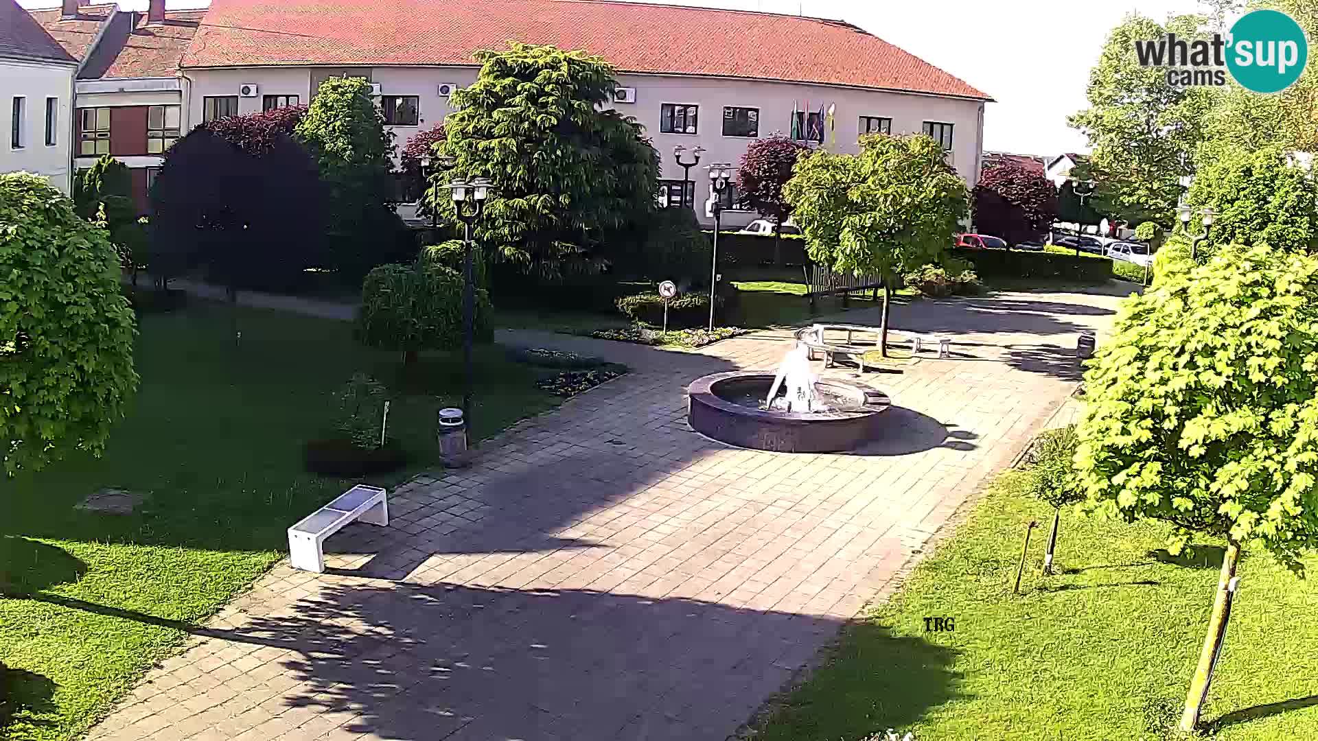 Čazma – Piazza Čazmanskog Kaptola