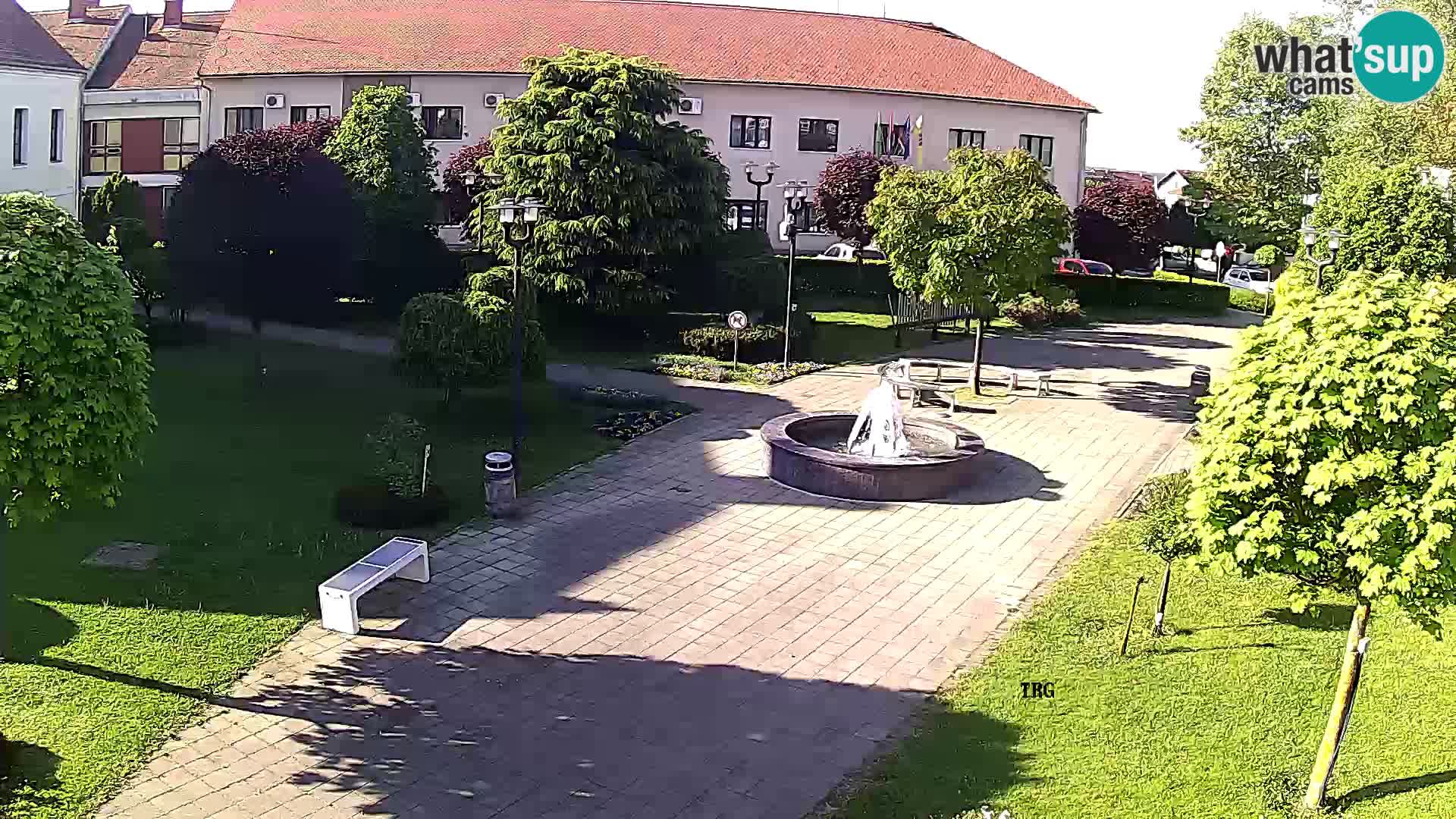 Čazma – Piazza Čazmanskog Kaptola