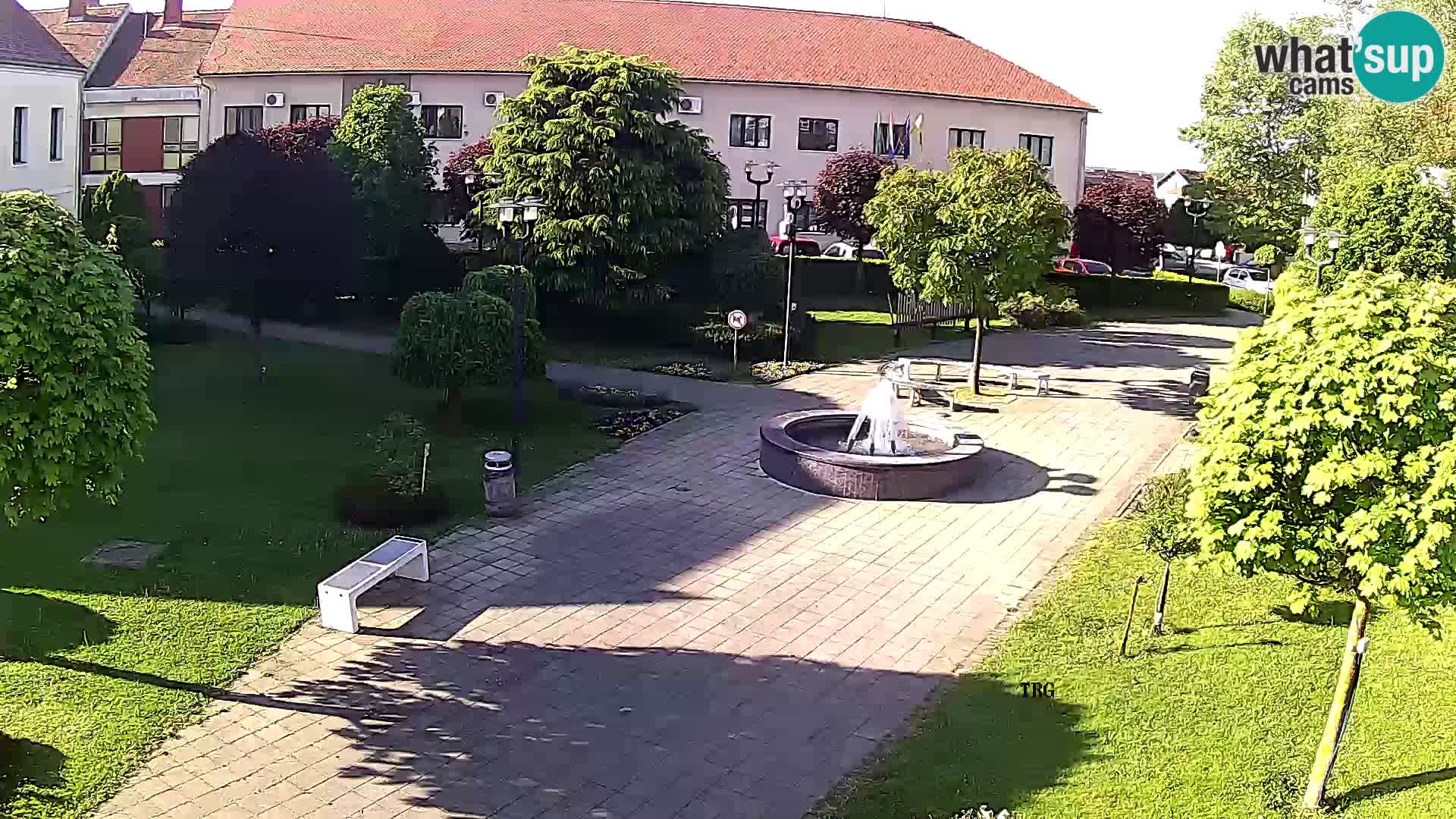 Čazma – Trg Čazmanskog Kaptola