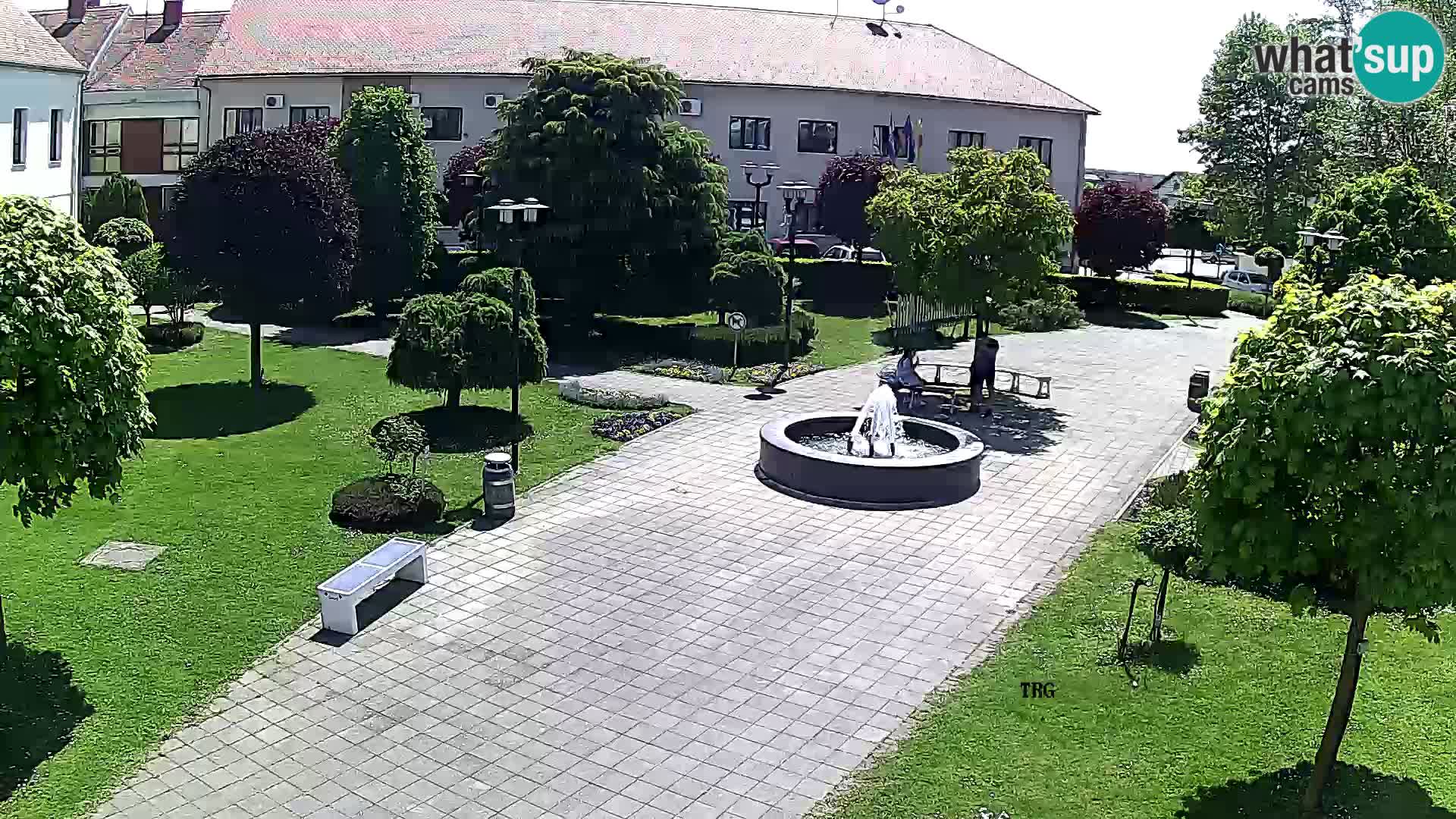 Čazma – Plaza Čazmanskog Kaptola