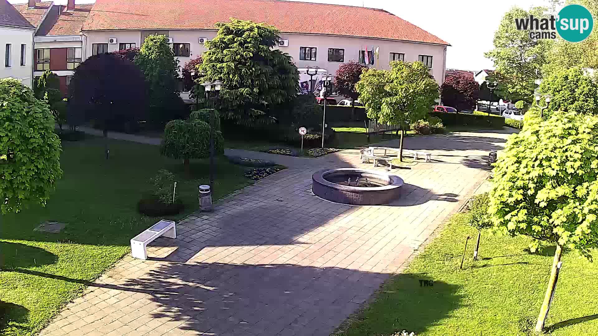 Čazma – Plaza Čazmanskog Kaptola