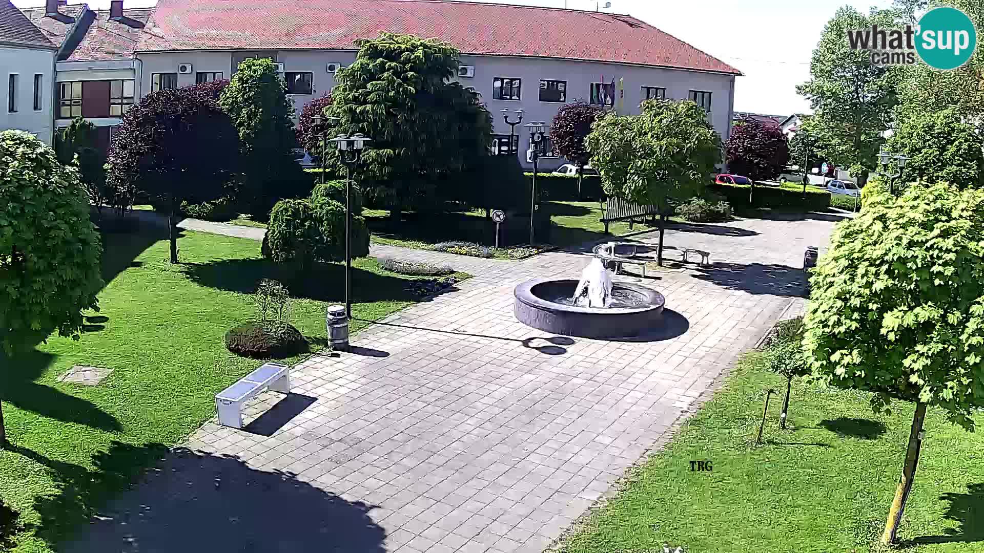 Čazma – Plaza Čazmanskog Kaptola