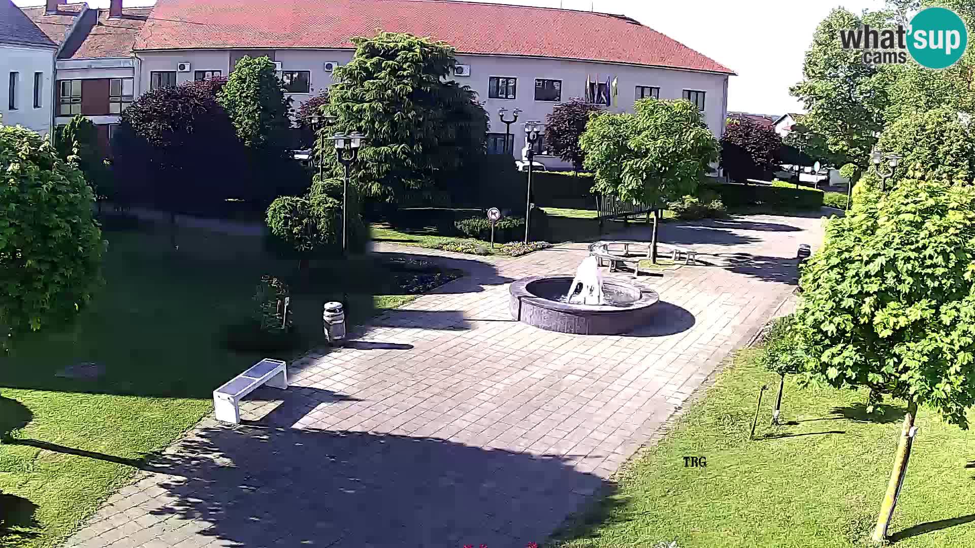 Čazma – Piazza Čazmanskog Kaptola