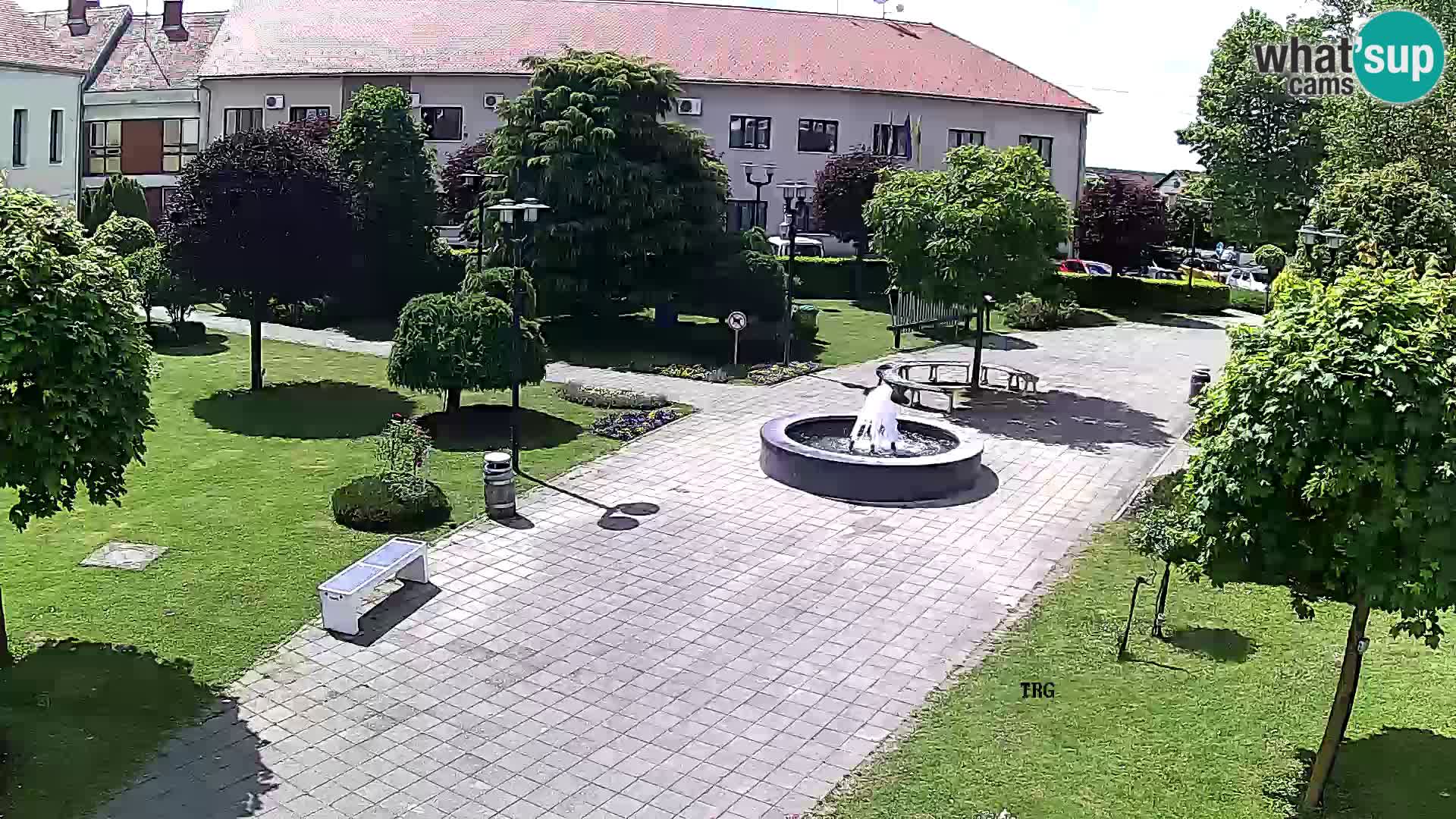 Čazma – Čazmanskog Kaptola carre