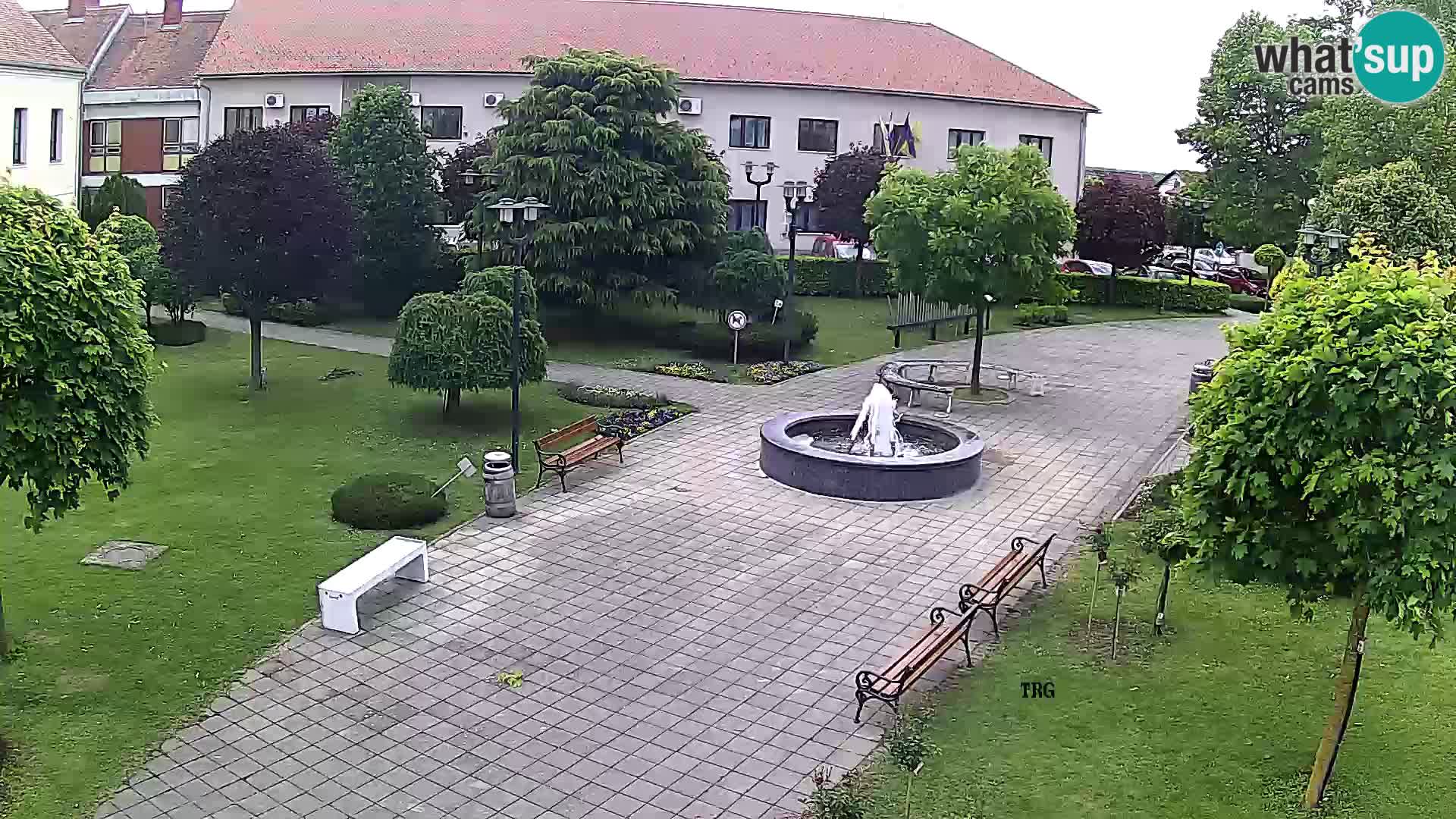 Čazma – Piazza Čazmanskog Kaptola