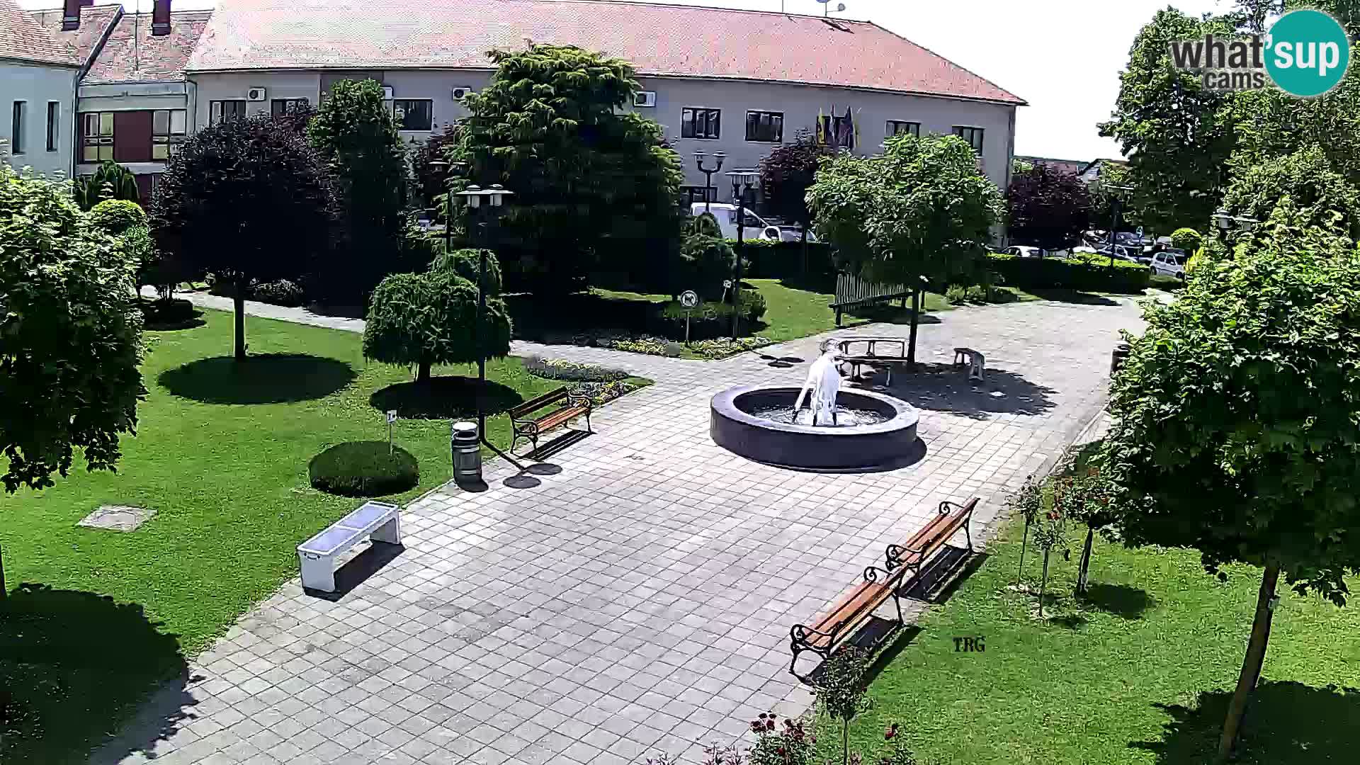 Čazma – Čazmanskog Kaptola square