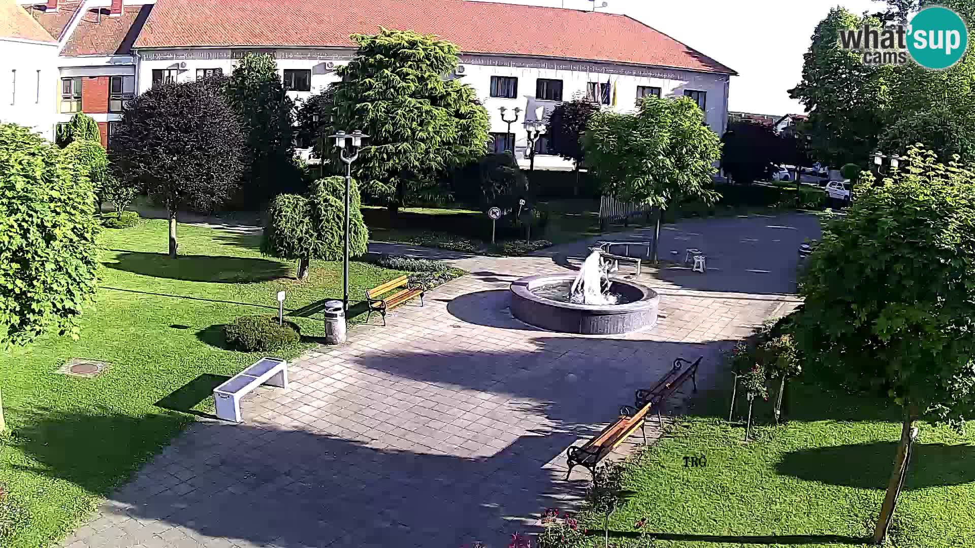 Čazma – Čazmanskog Kaptola square