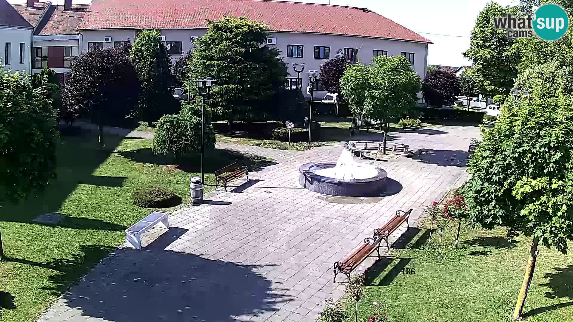 Čazma – Čazmanskog Kaptola square