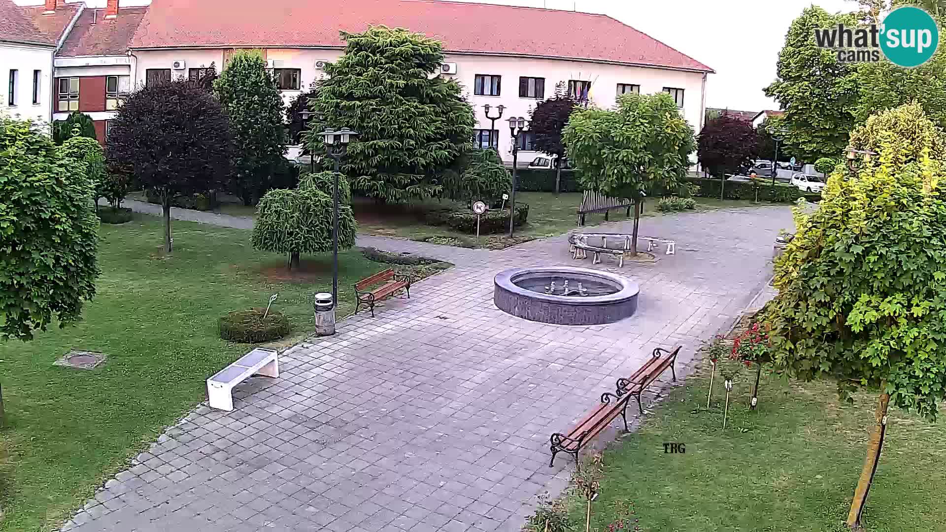 Čazma – Trg Čazmanskog Kaptola
