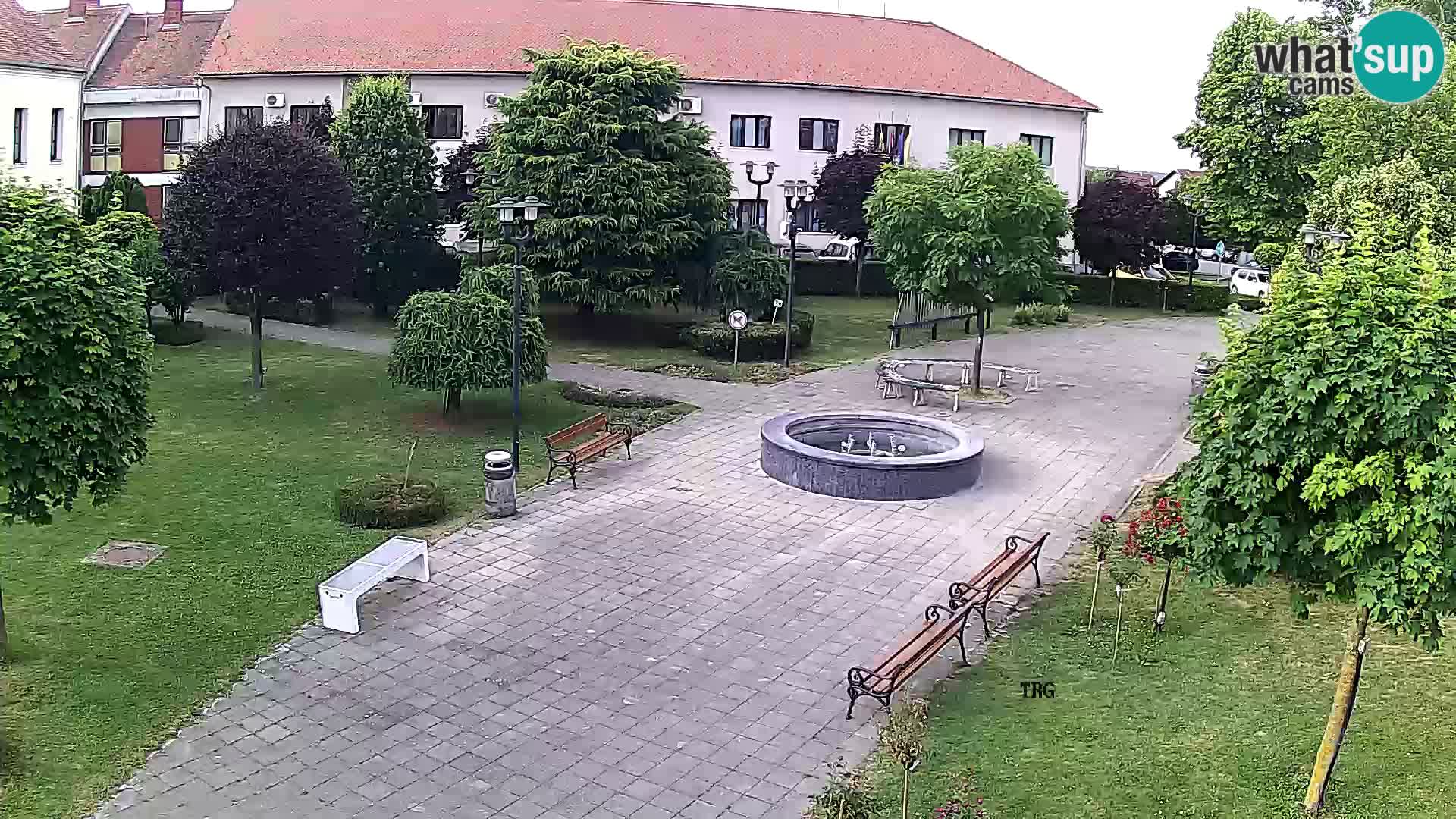 Čazma – Trg Čazmanskog Kaptola
