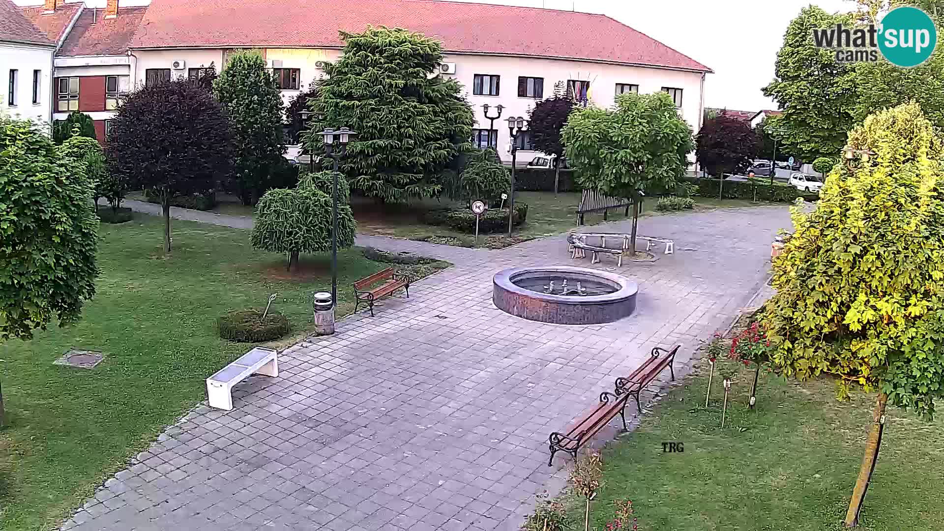 Čazma – Čazmanskog Kaptola Platz