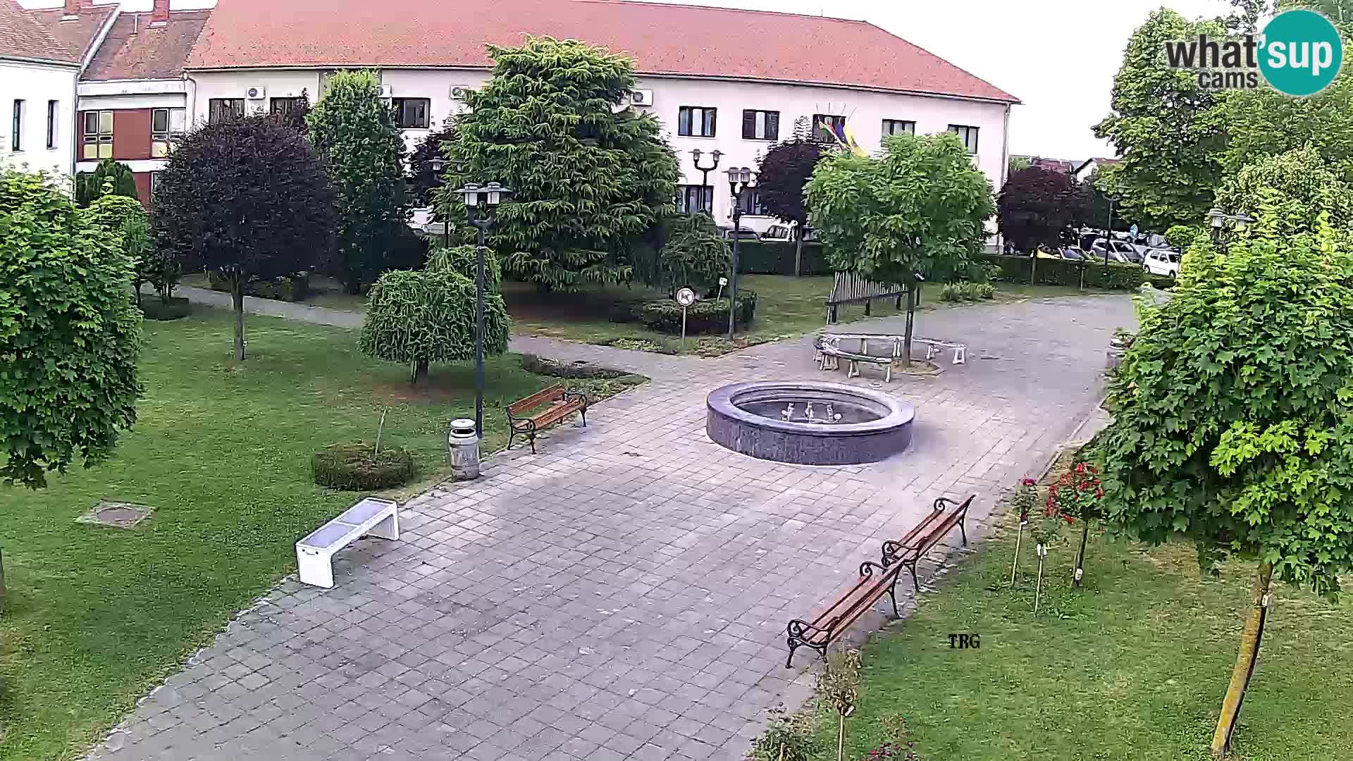 Čazma – Trg Čazmanskog Kaptola