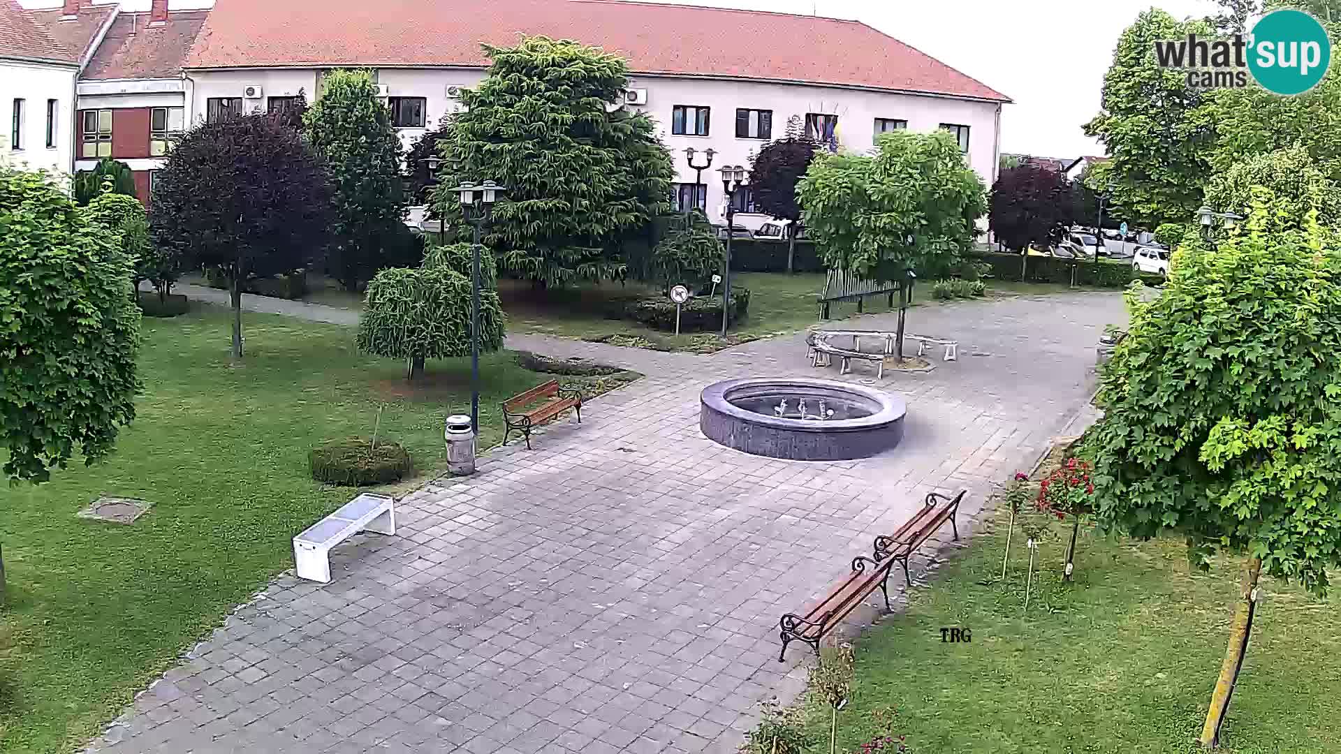 Čazma – Plaza Čazmanskog Kaptola