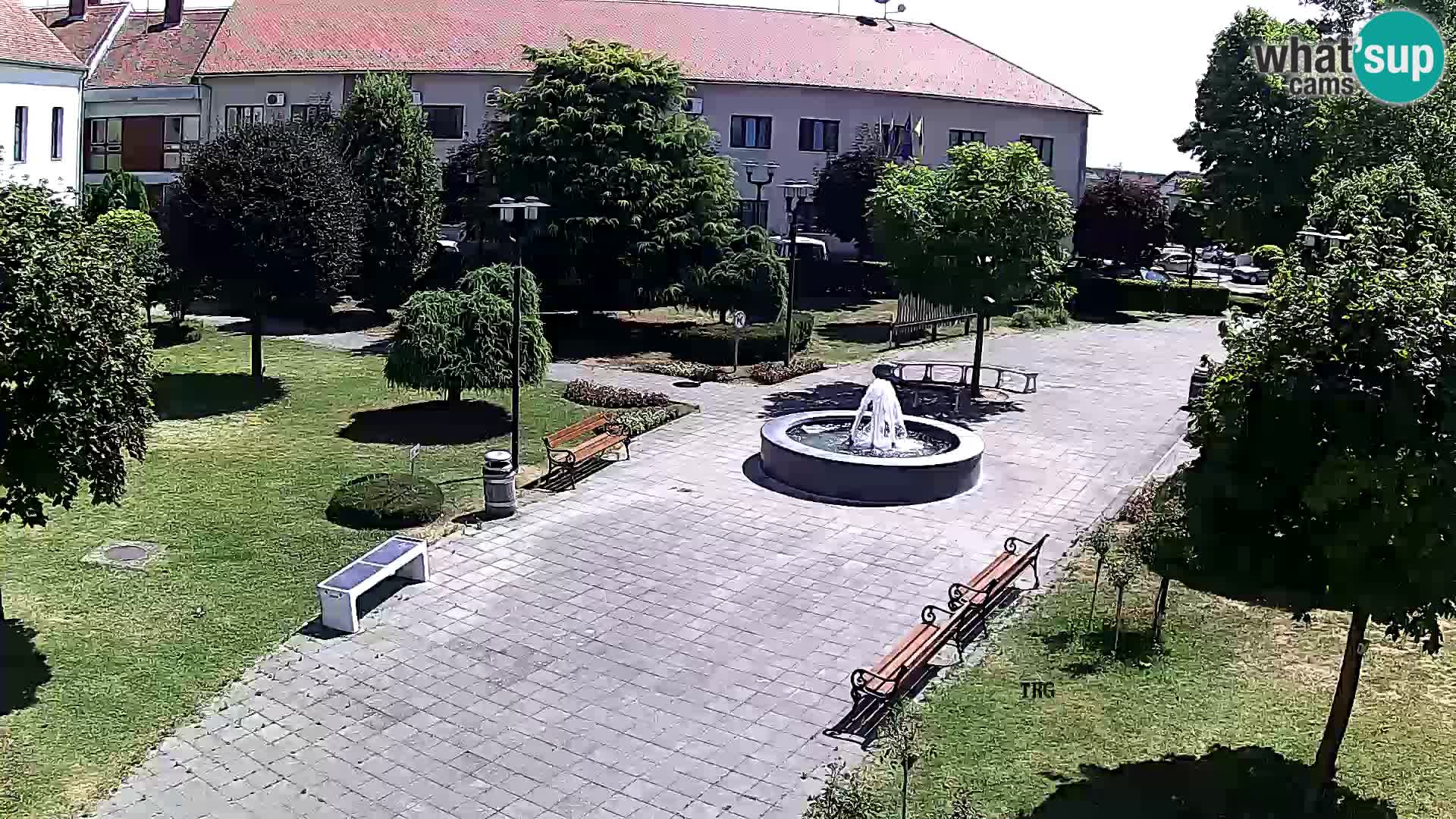 Čazma – Trg Čazmanskog Kaptola