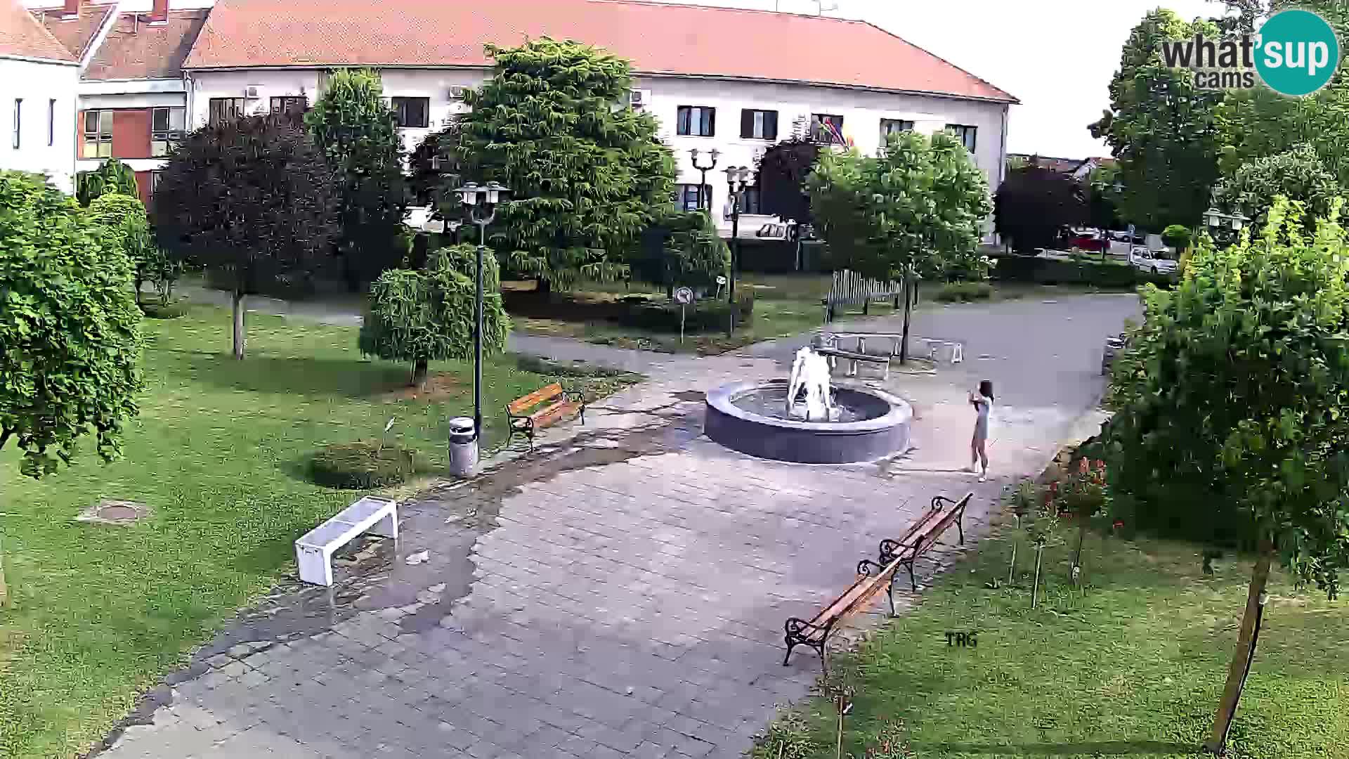 Čazma – Čazmanskog Kaptola carre