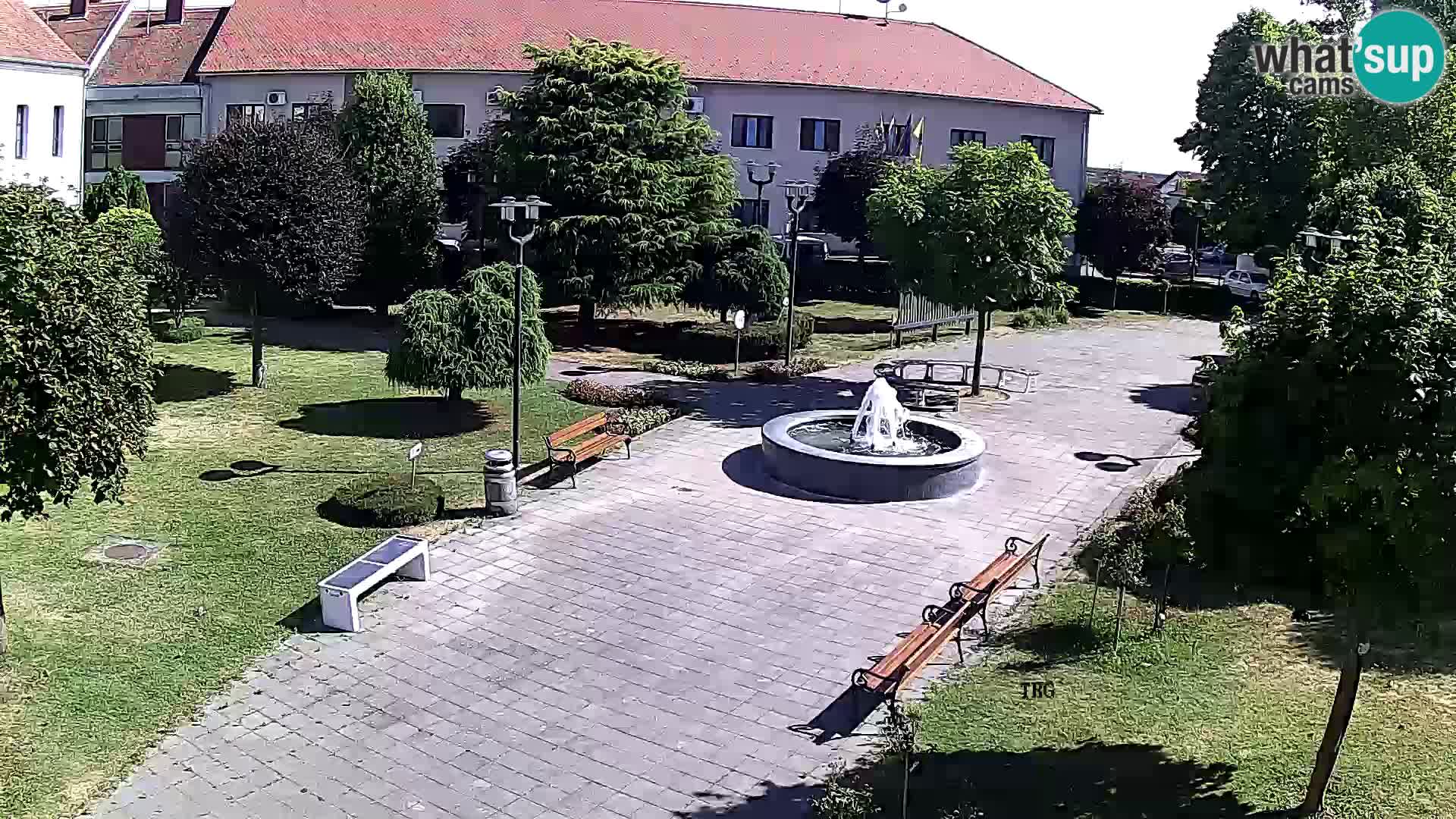 Čazma – Piazza Čazmanskog Kaptola