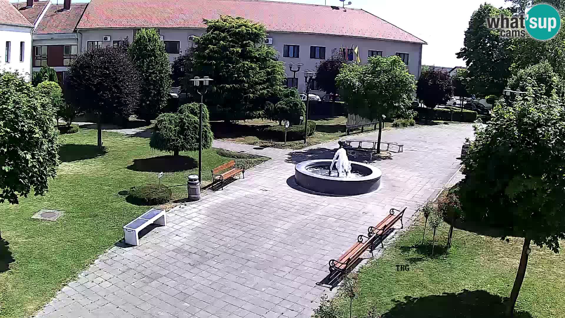 Čazma – Čazmanskog Kaptola square