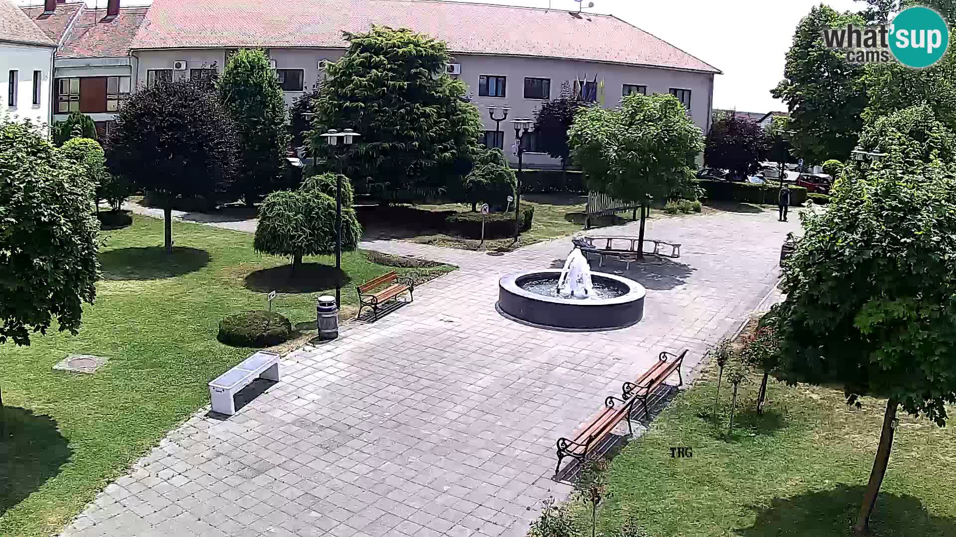 Čazma – Piazza Čazmanskog Kaptola