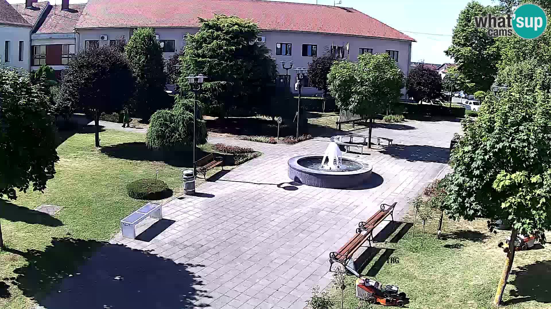 Čazma – Trg Čazmanskog Kaptola
