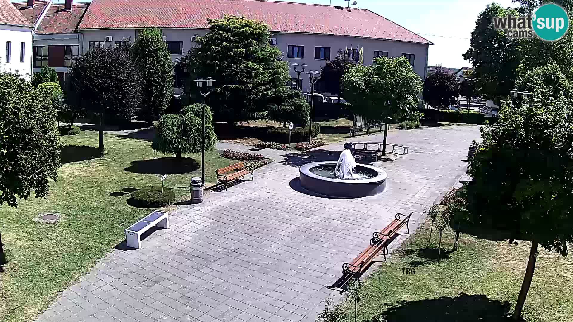 Čazma – Čazmanskog Kaptola square