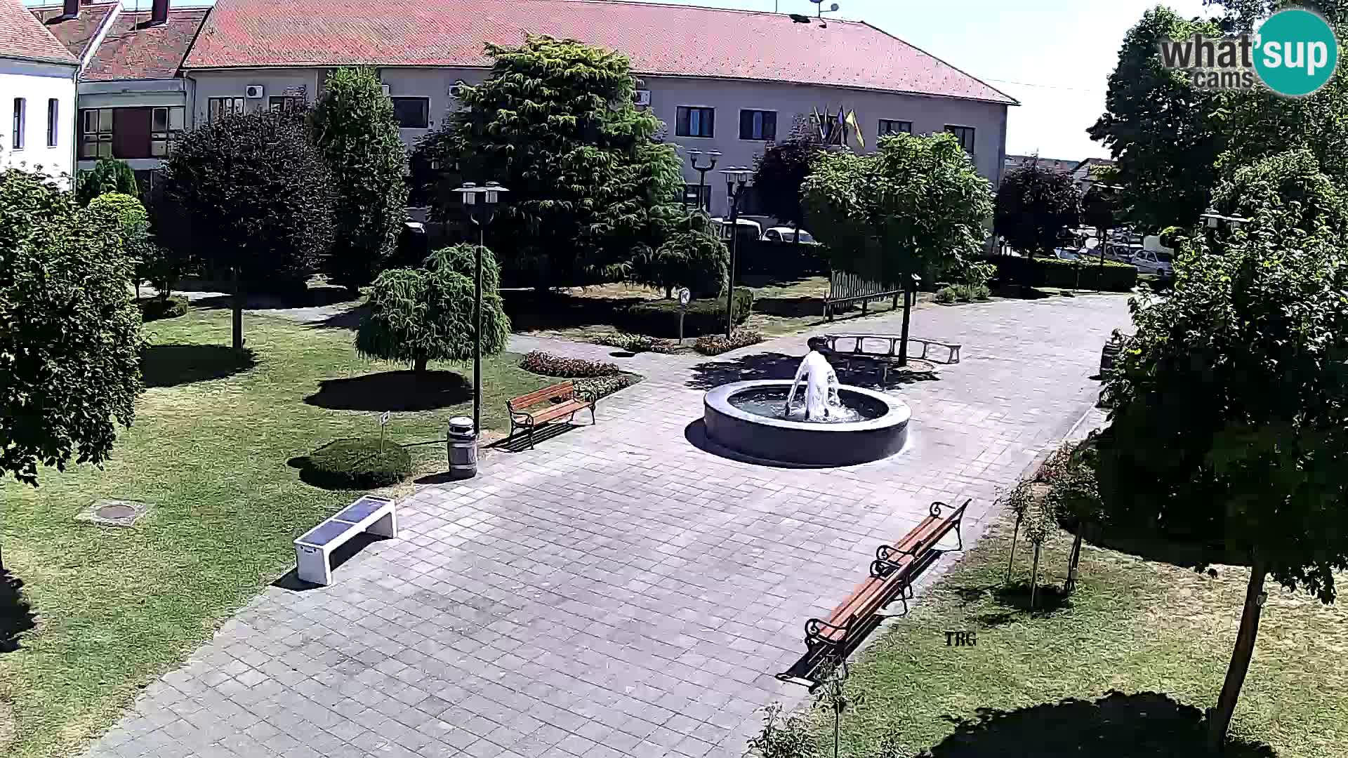 Čazma – Čazmanskog Kaptola Platz