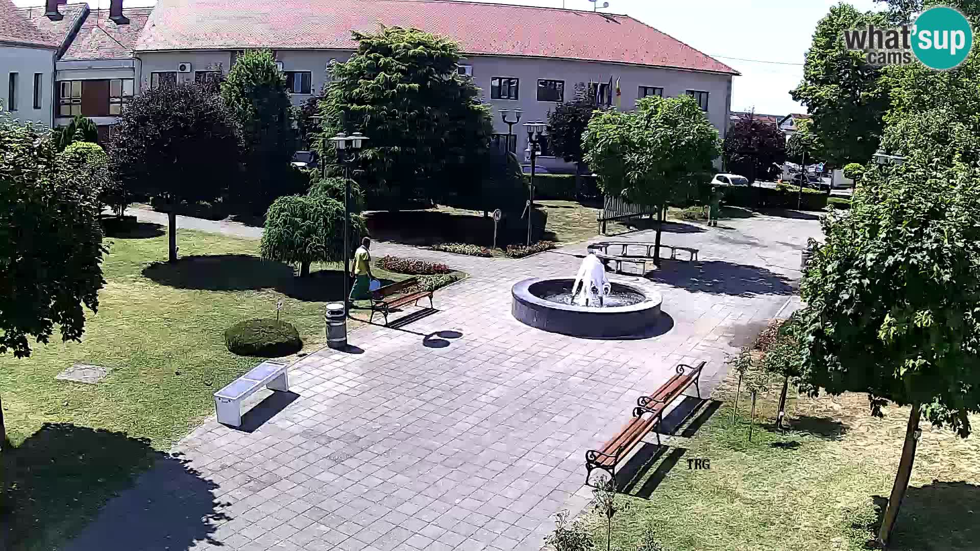 Čazma – Čazmanskog Kaptola square