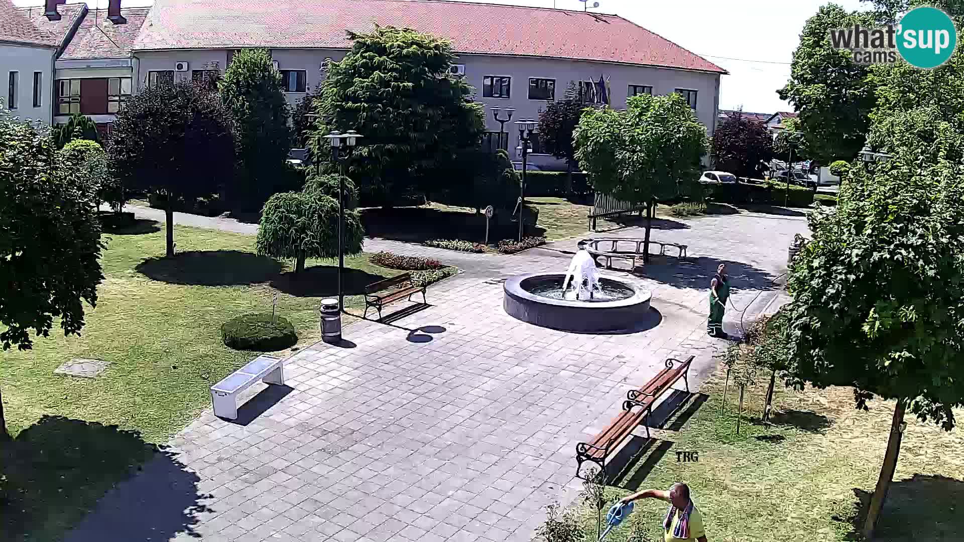 Čazma – Čazmanskog Kaptola carre