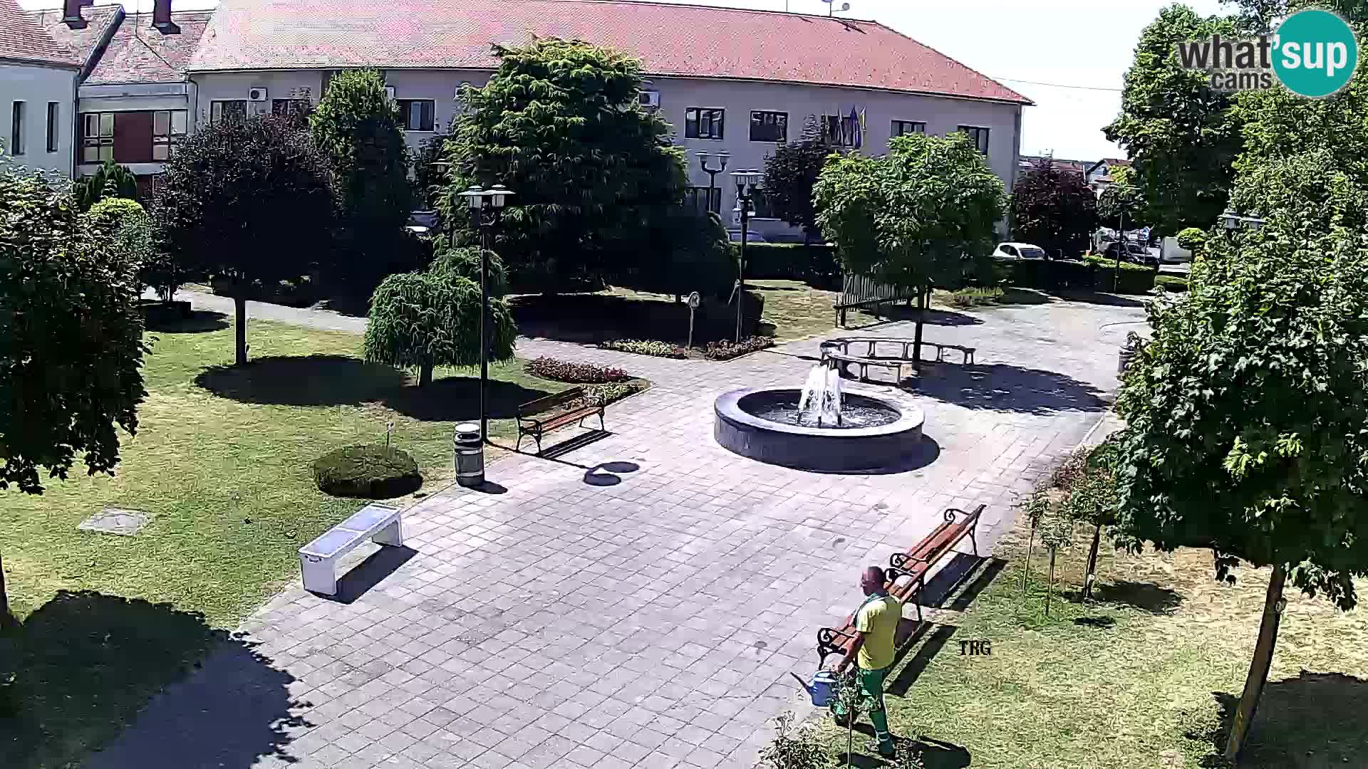 Čazma – Čazmanskog Kaptola Platz