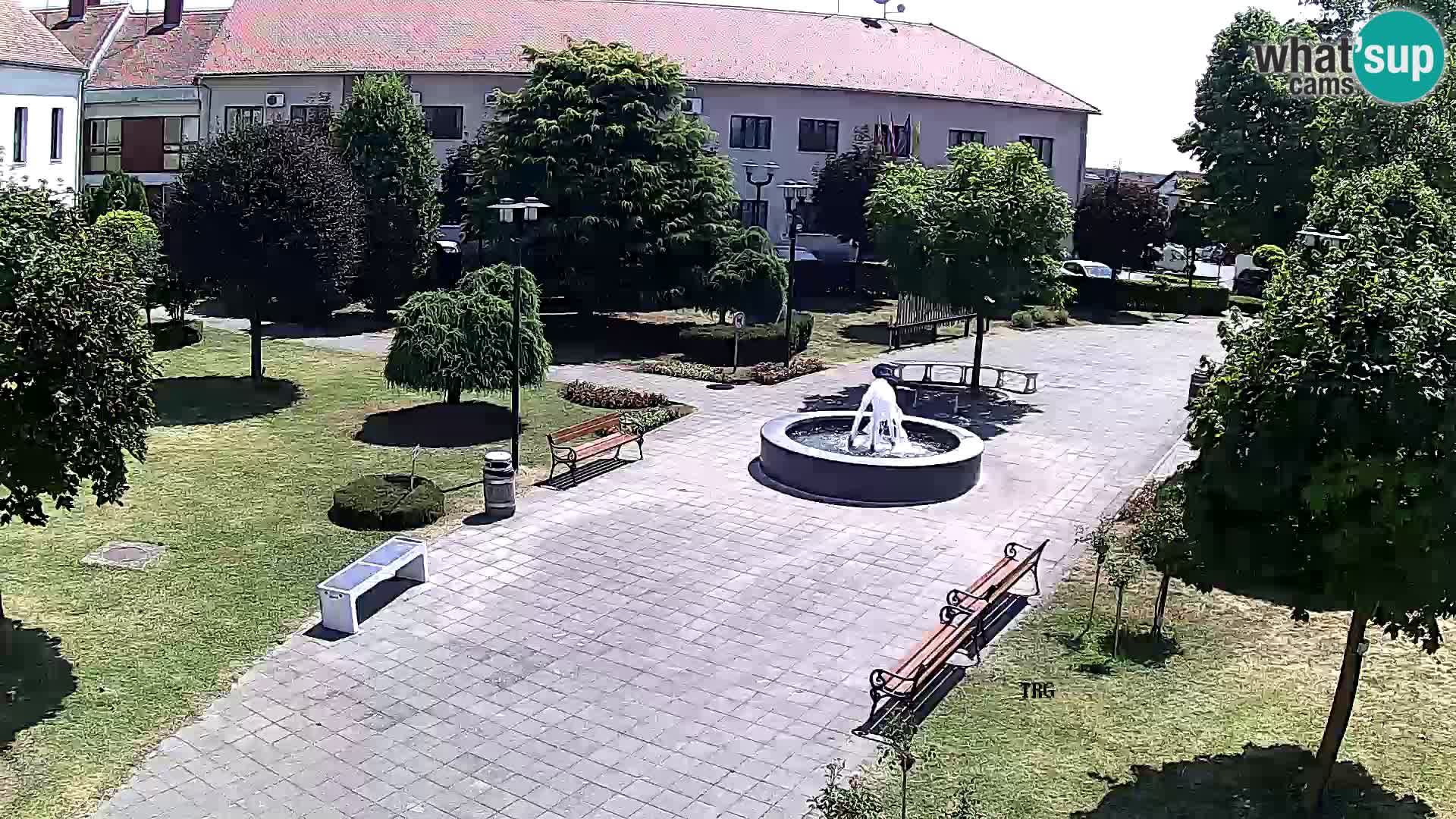 Čazma – Čazmanskog Kaptola square