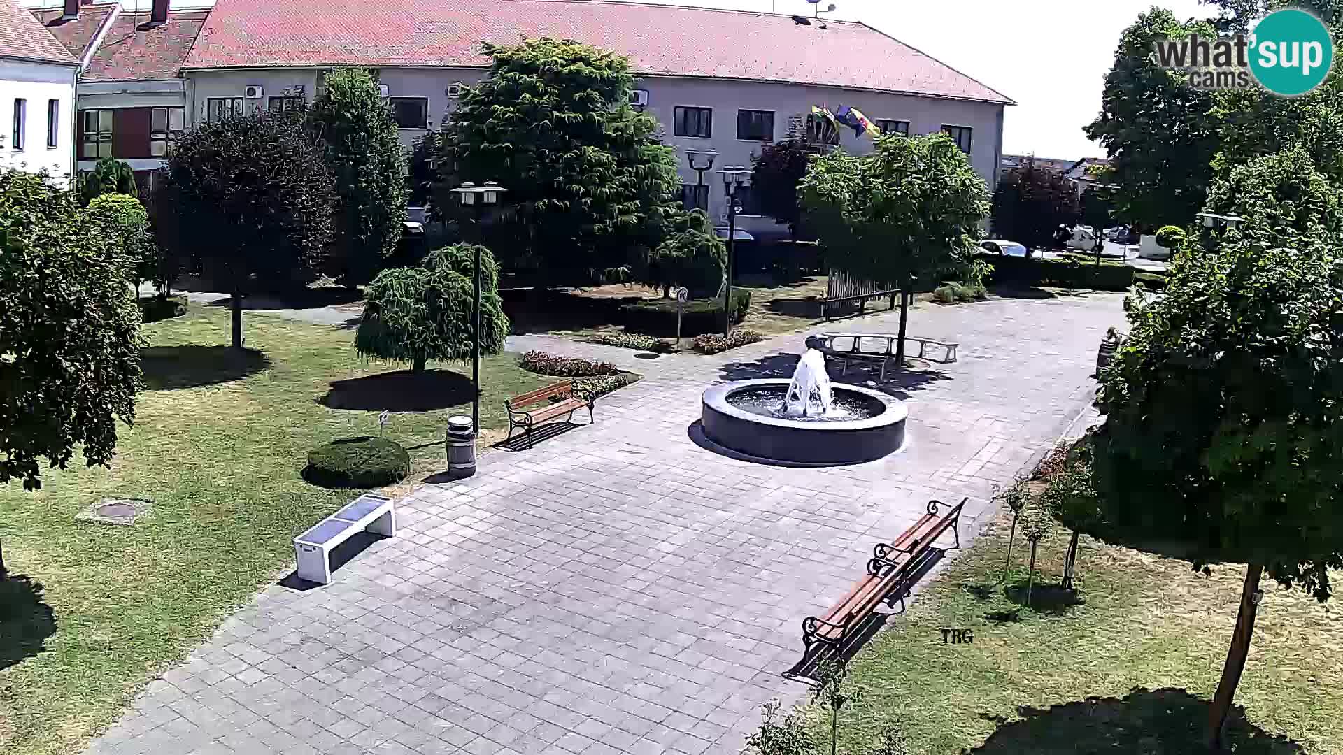 Čazma – Čazmanskog Kaptola Platz