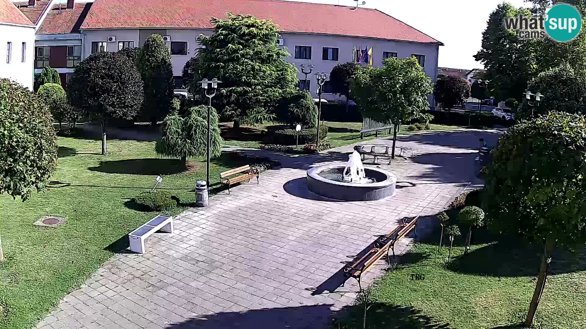 Čazma – Plaza Čazmanskog Kaptola