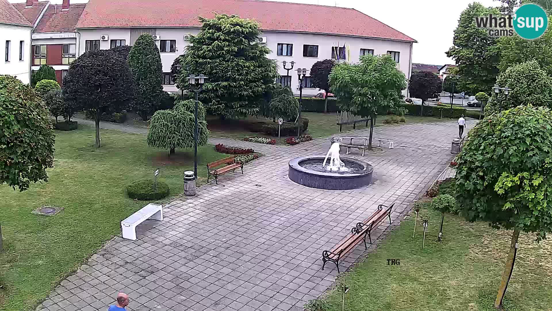 Čazma – Piazza Čazmanskog Kaptola