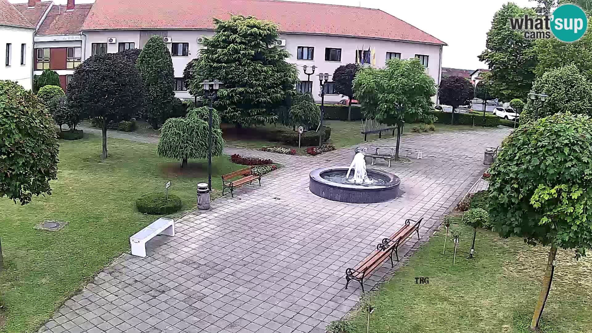 Čazma – Trg Čazmanskog Kaptola