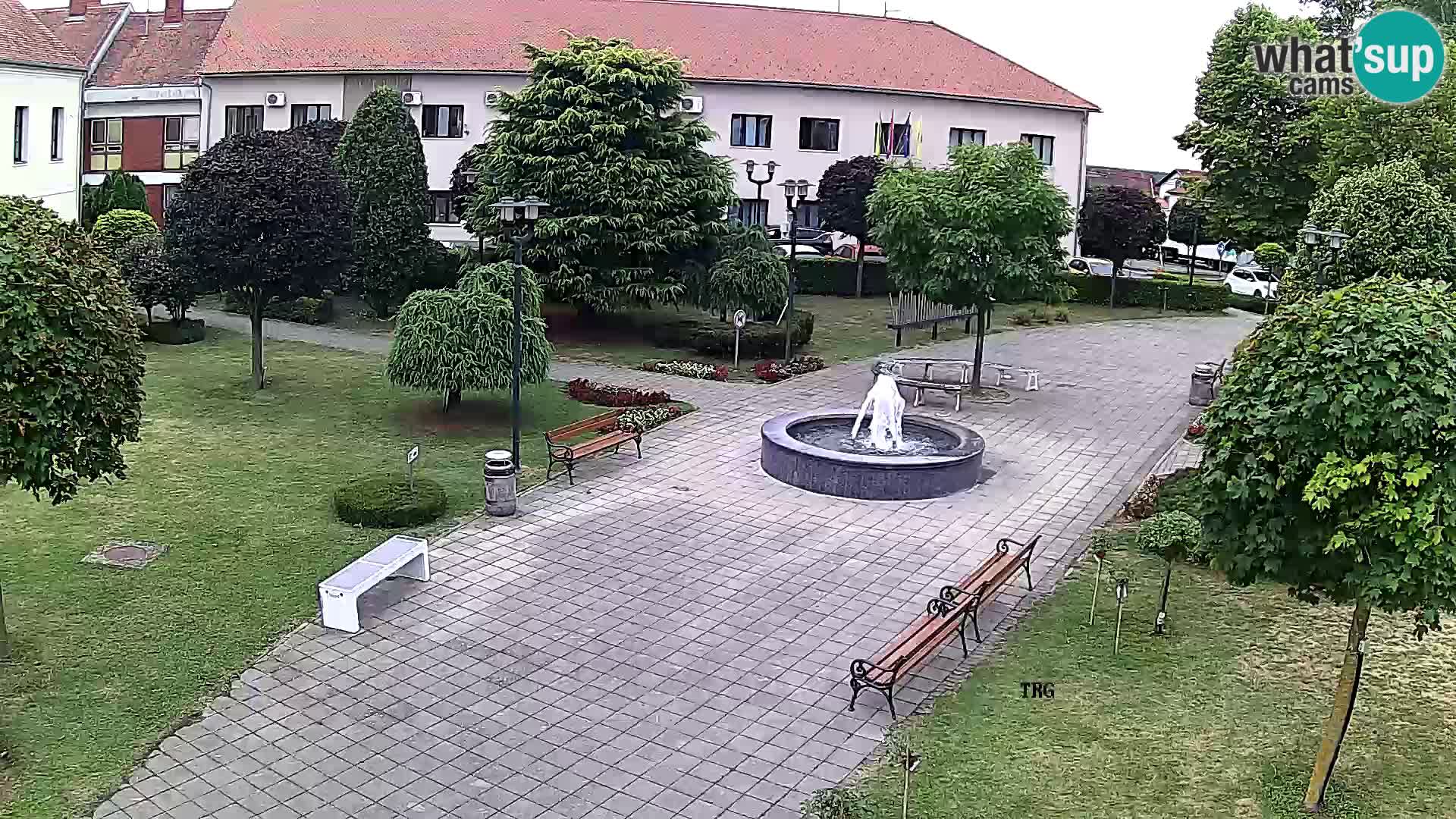 Čazma – Čazmanskog Kaptola Platz