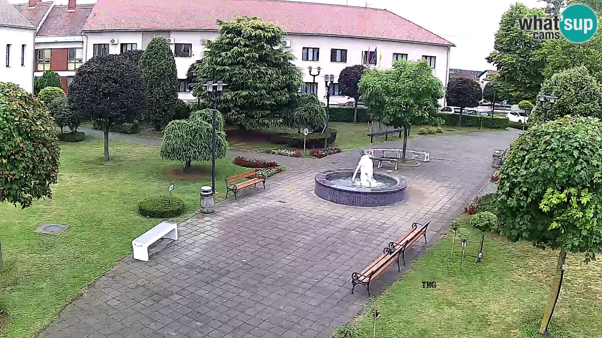 Čazma – Trg Čazmanskog Kaptola