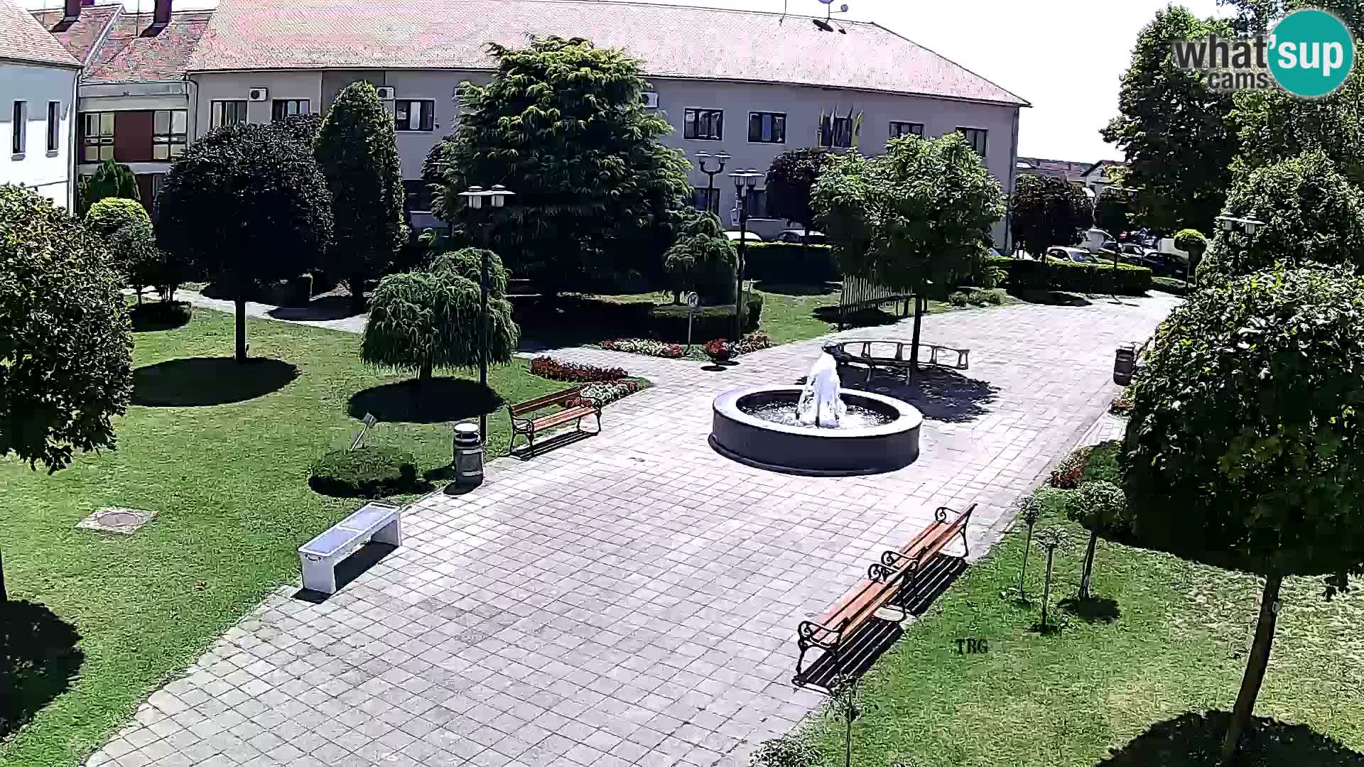 Čazma – Piazza Čazmanskog Kaptola